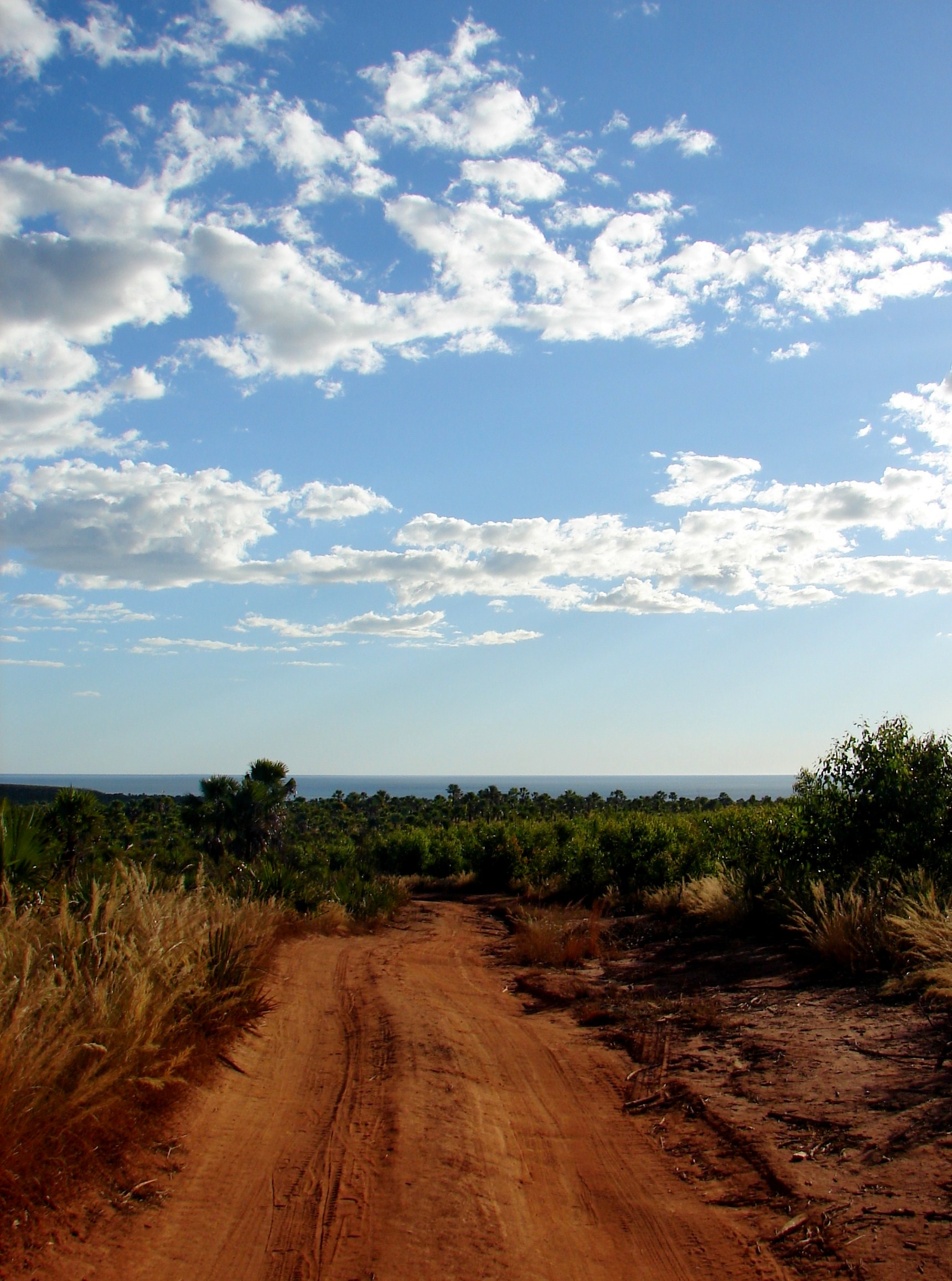 Madagascar, the island of clay