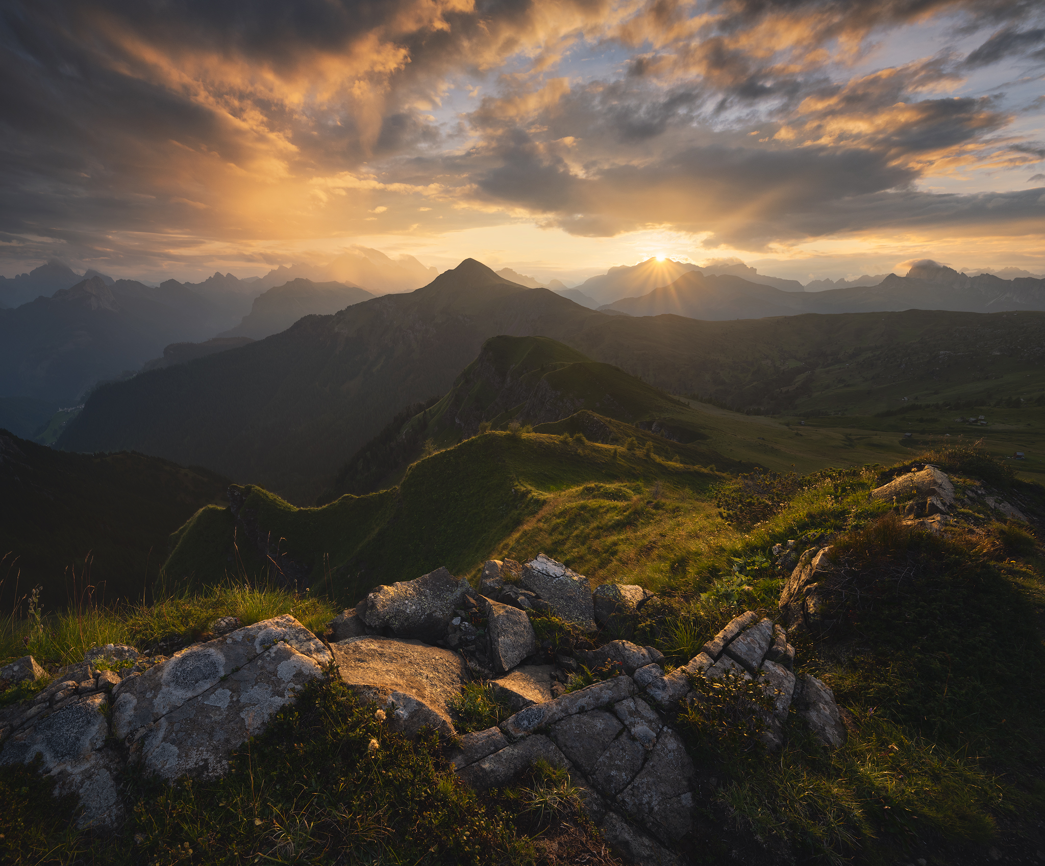 Lovely Afternoon, New Year