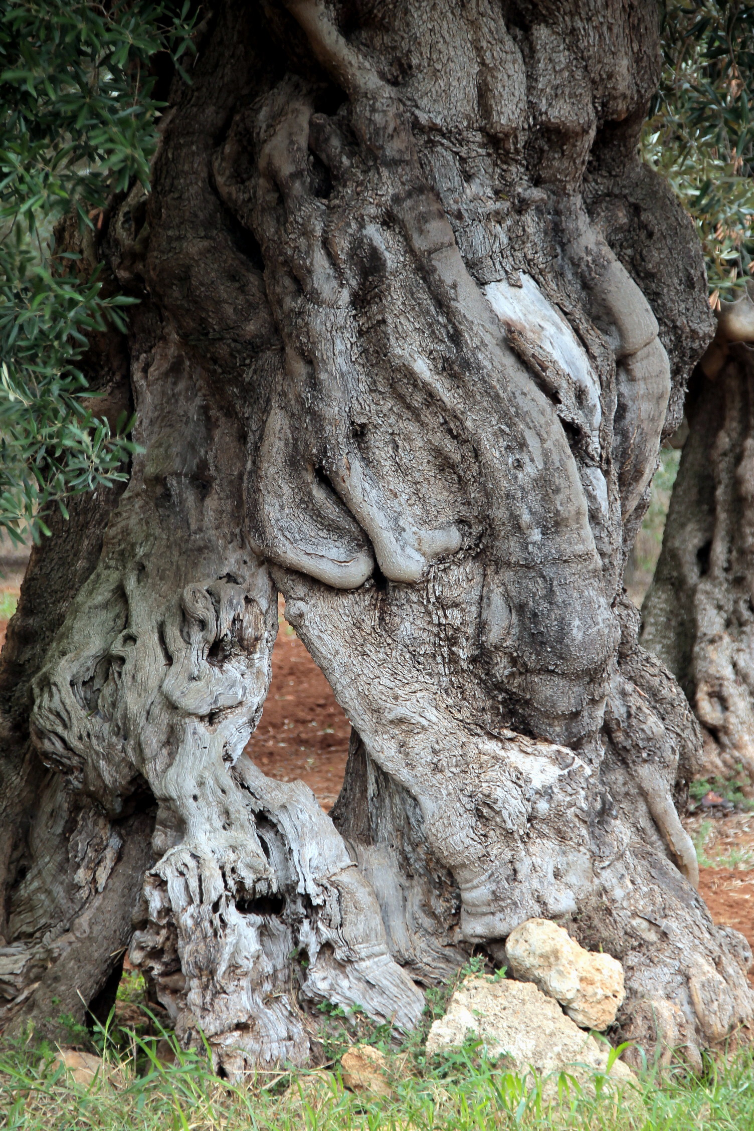 Sono proprio vecchio