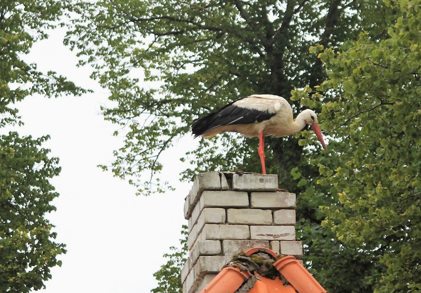 Speriamo che sia spento