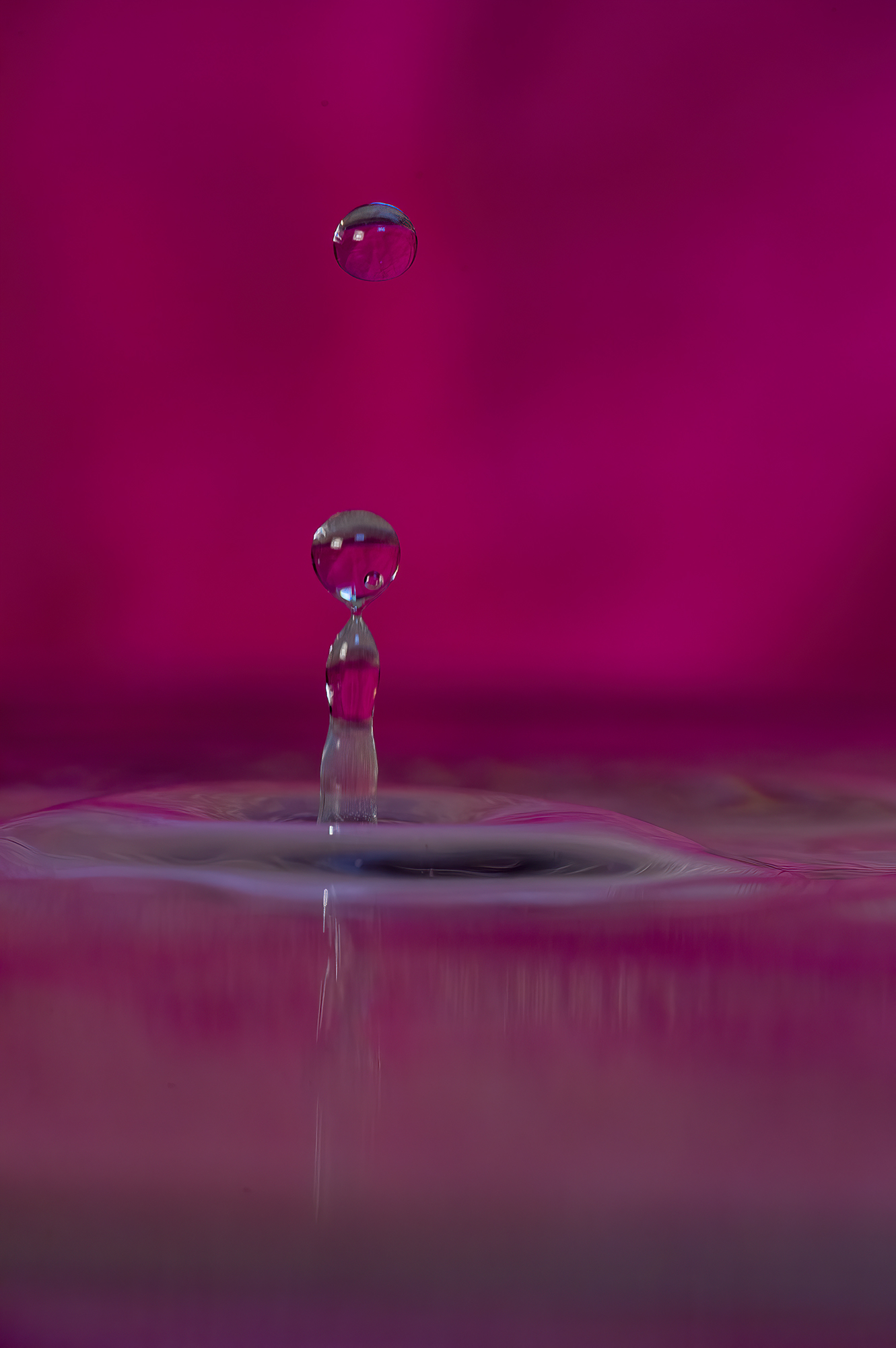 Untitled Photo