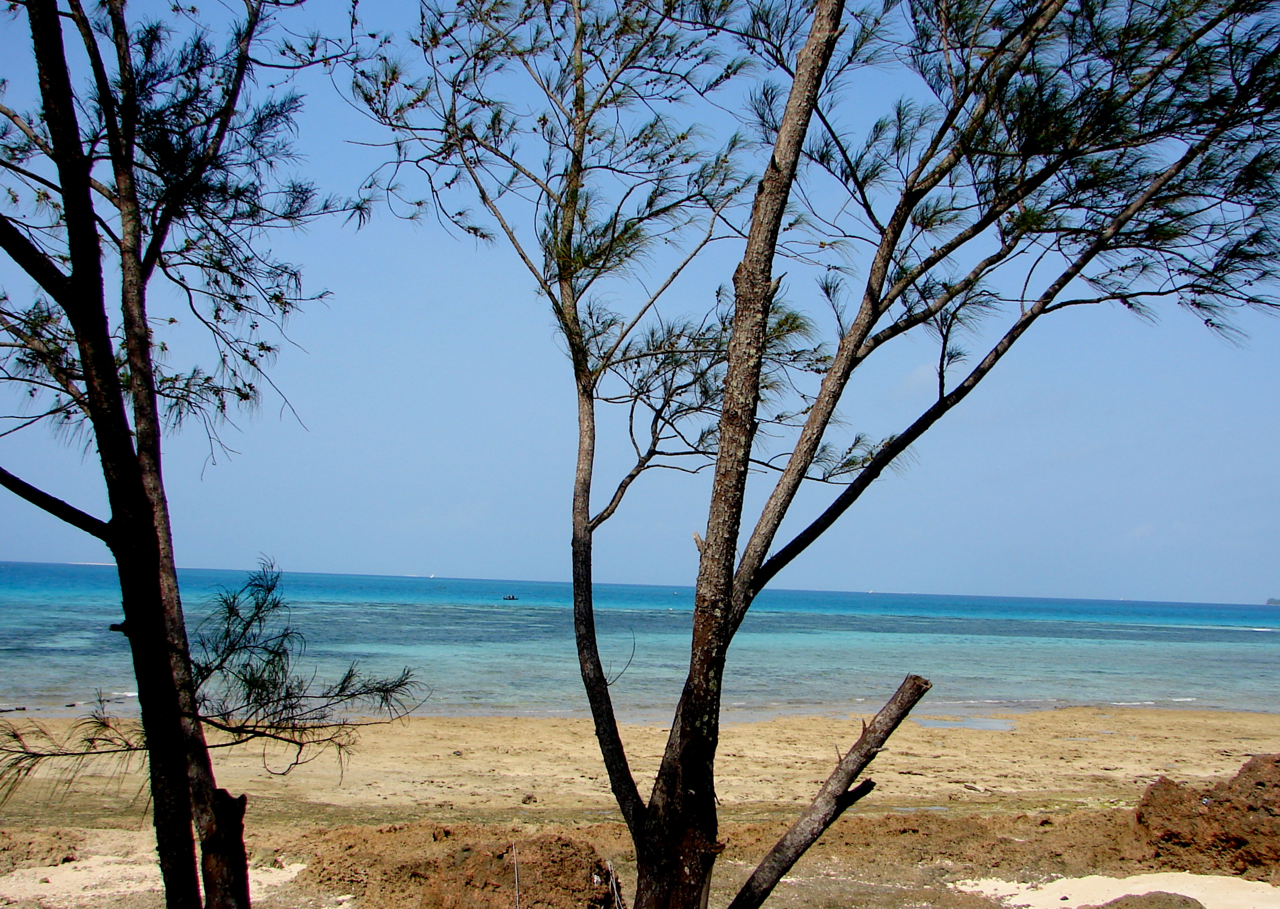 Prison Island (Zanzibar)