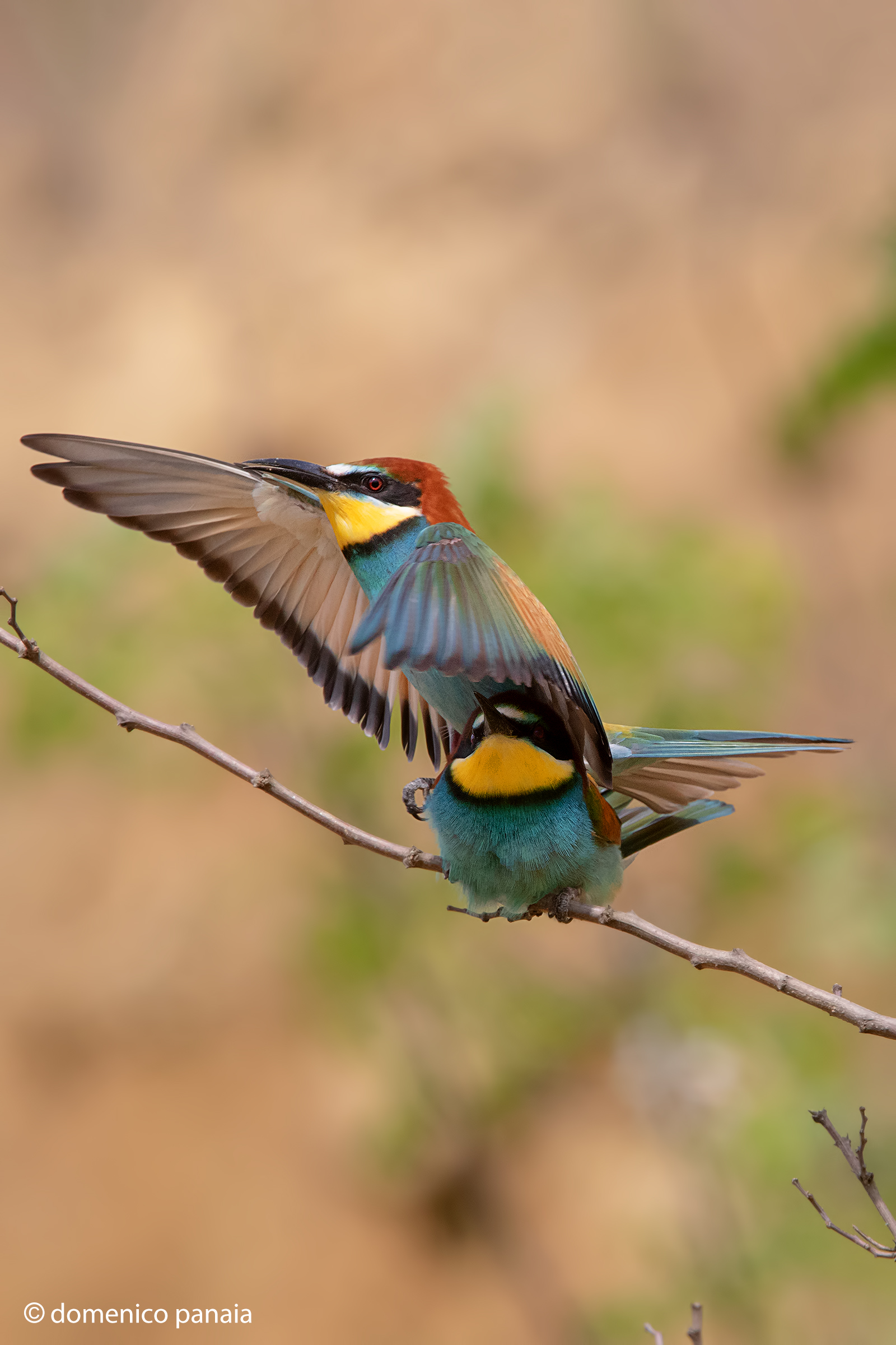 it's going to be all right