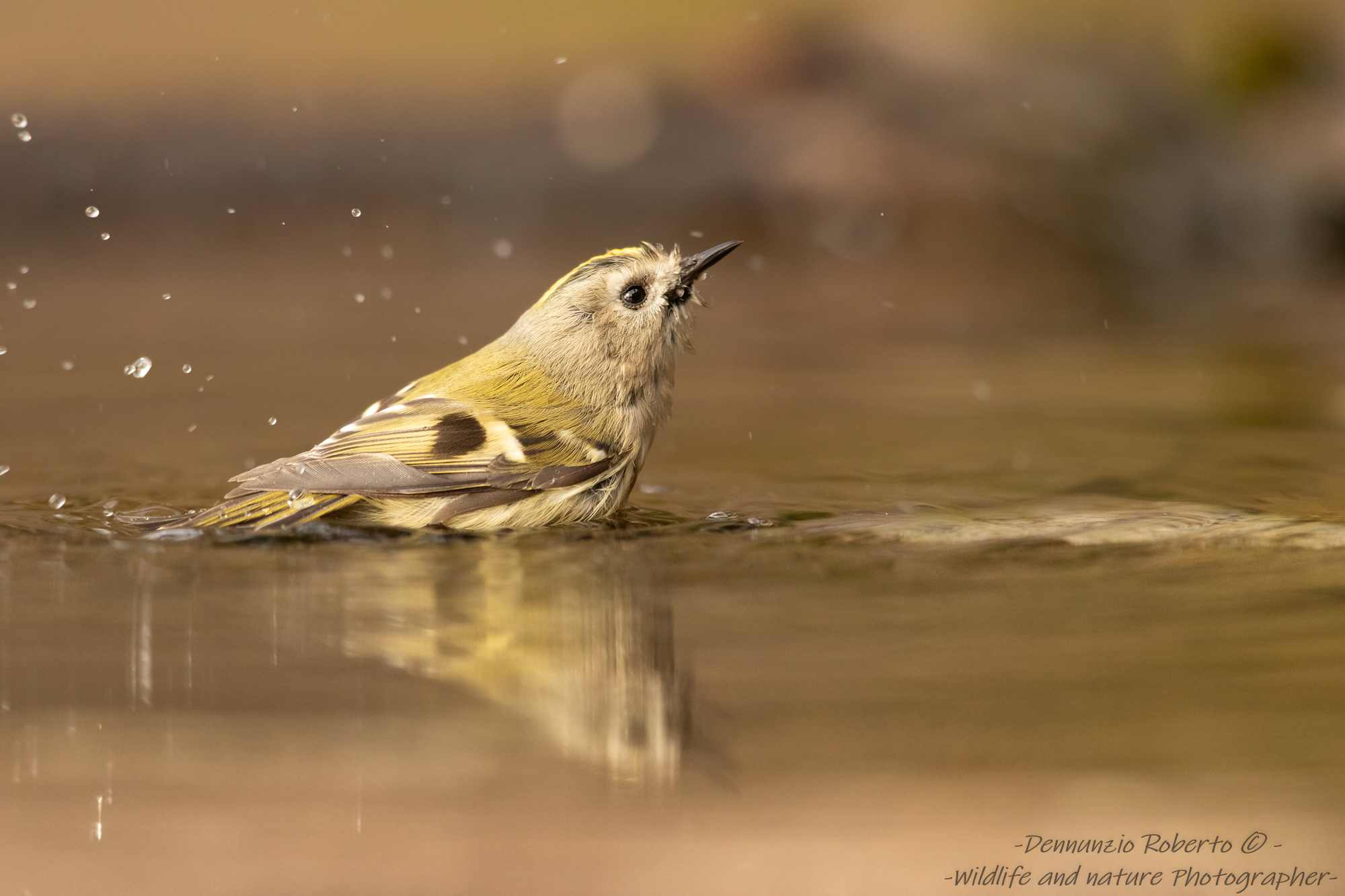 ma che ne sapete voi con la jacuzzi....