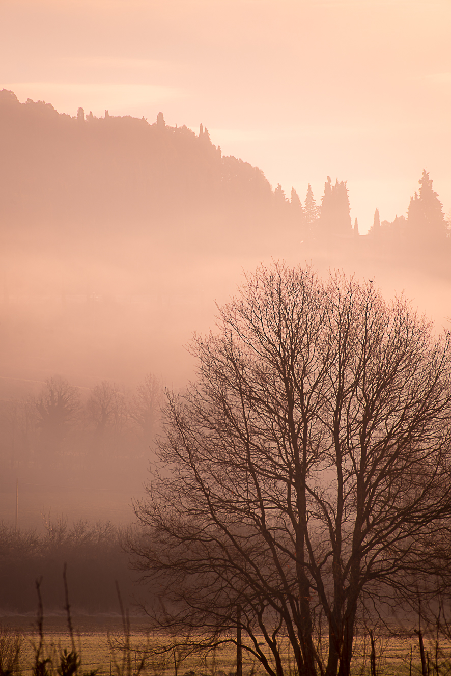 Alba di fine inverno