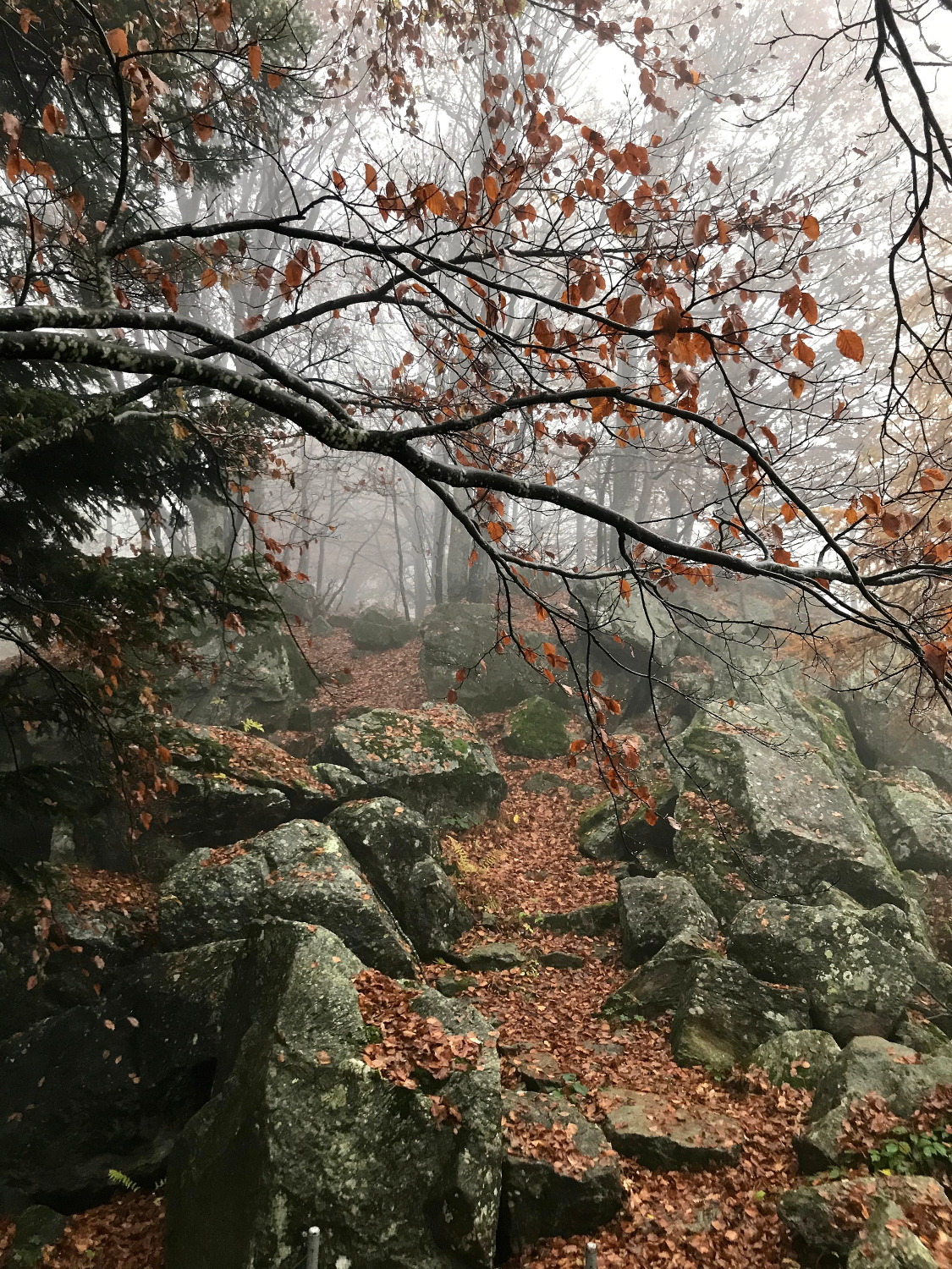 Memory of autumn