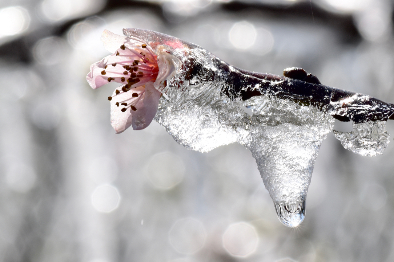 Primavera da brivido 6