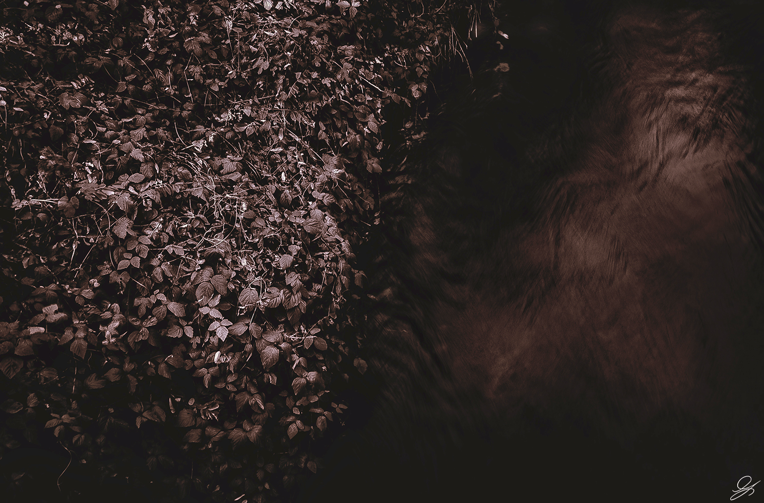 Tutte le cose sono uno