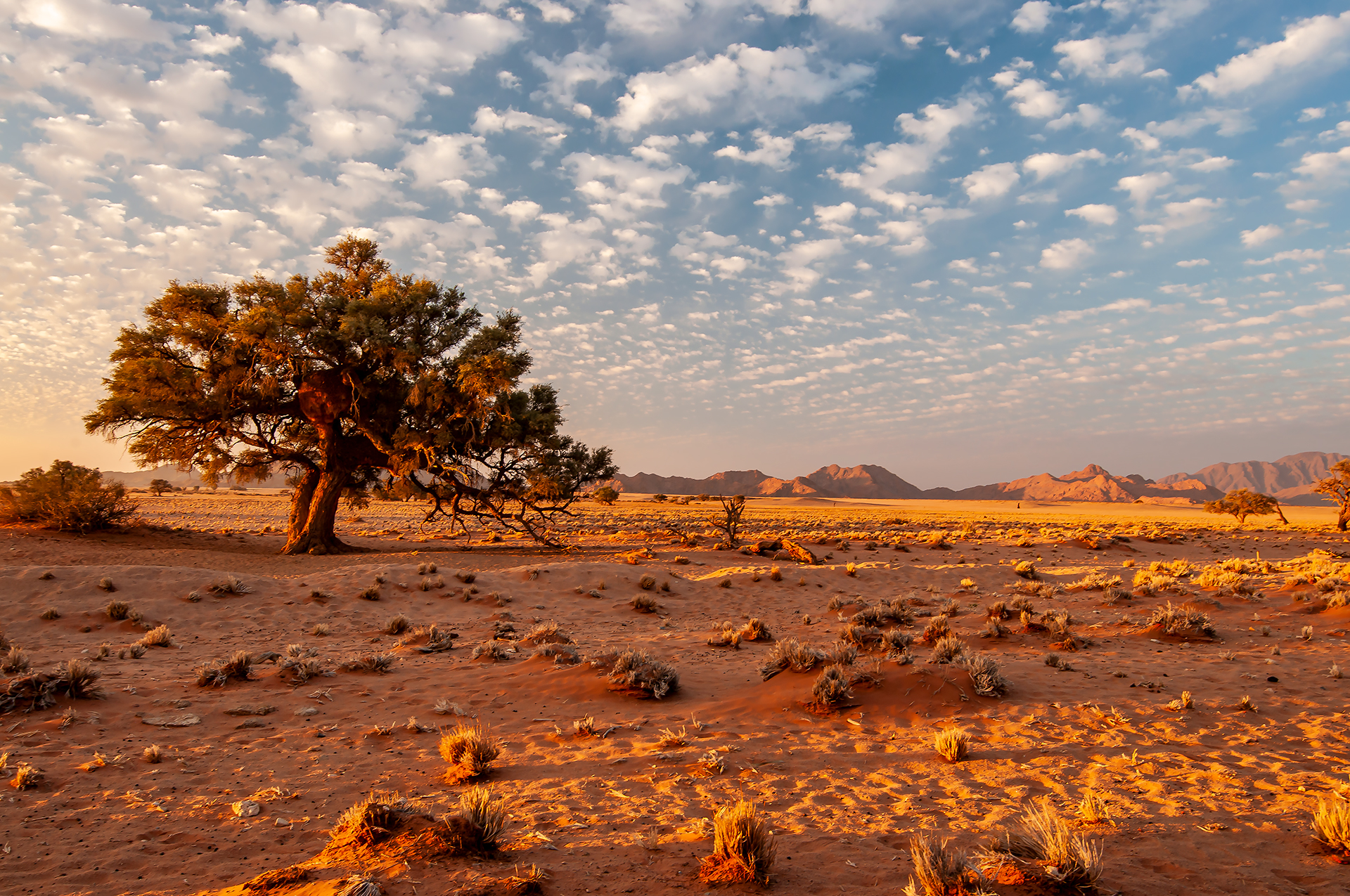 Namib Desert Sunset
