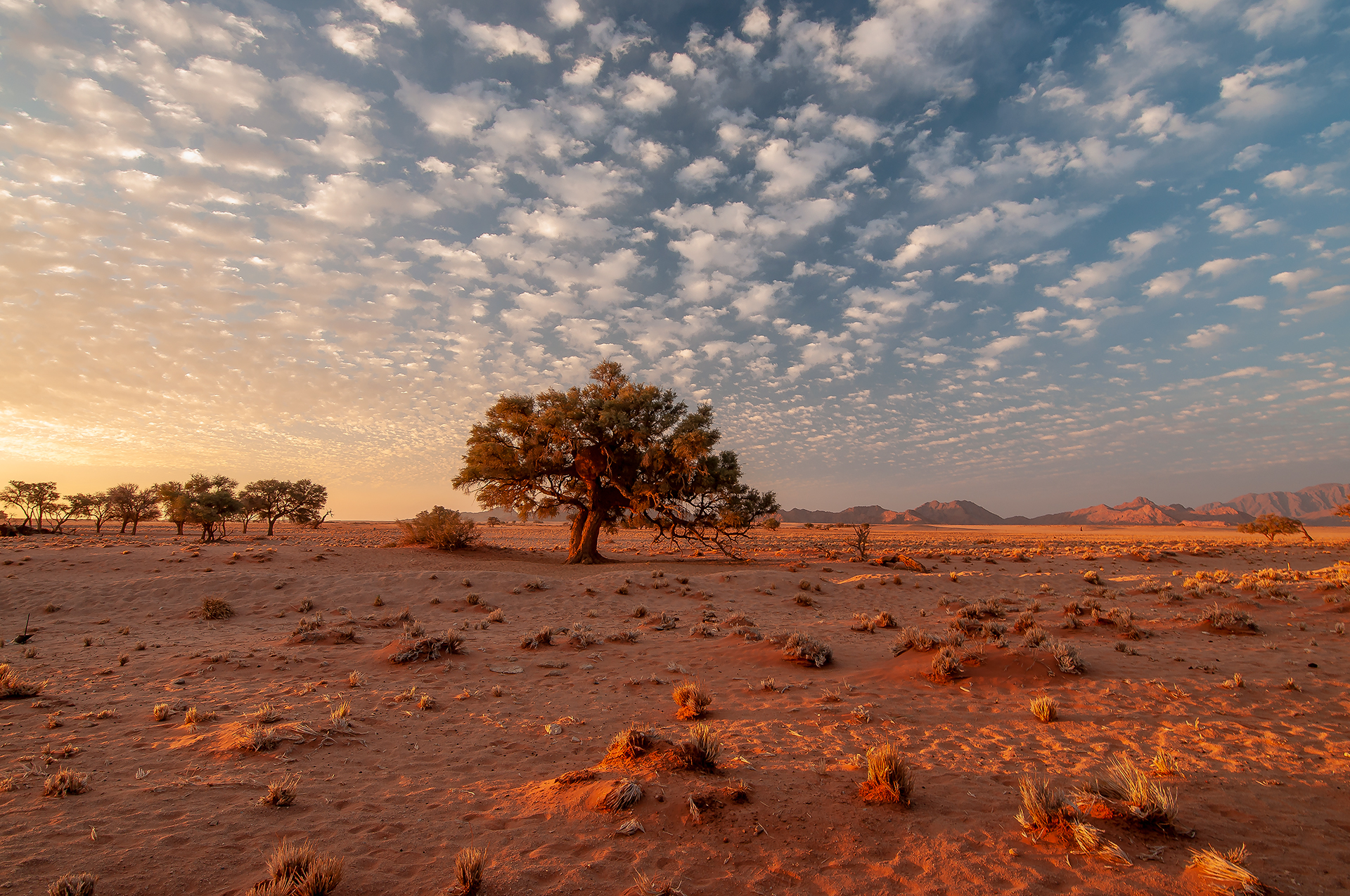 Namib Desert Sunset