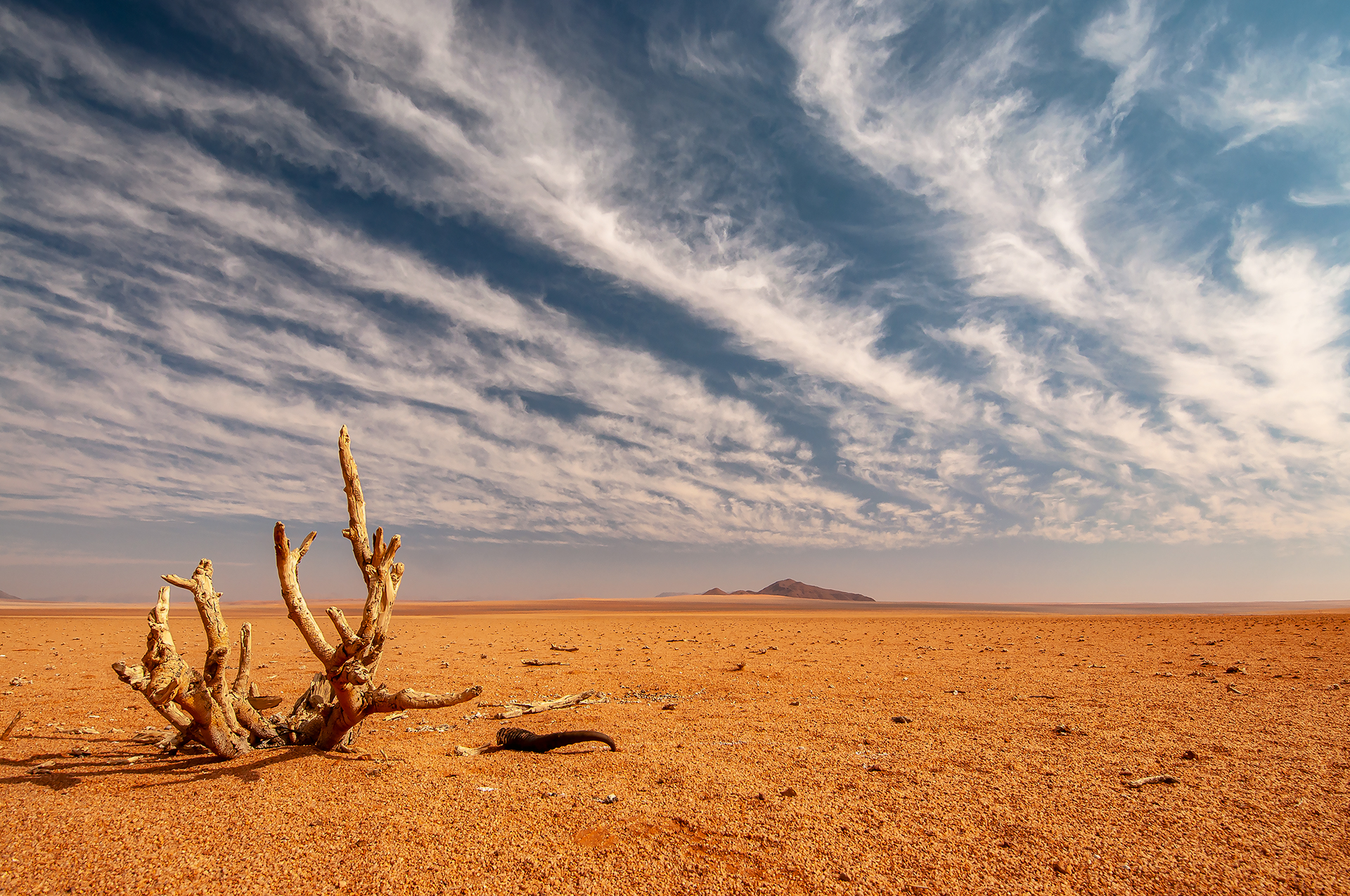 Namib Desert