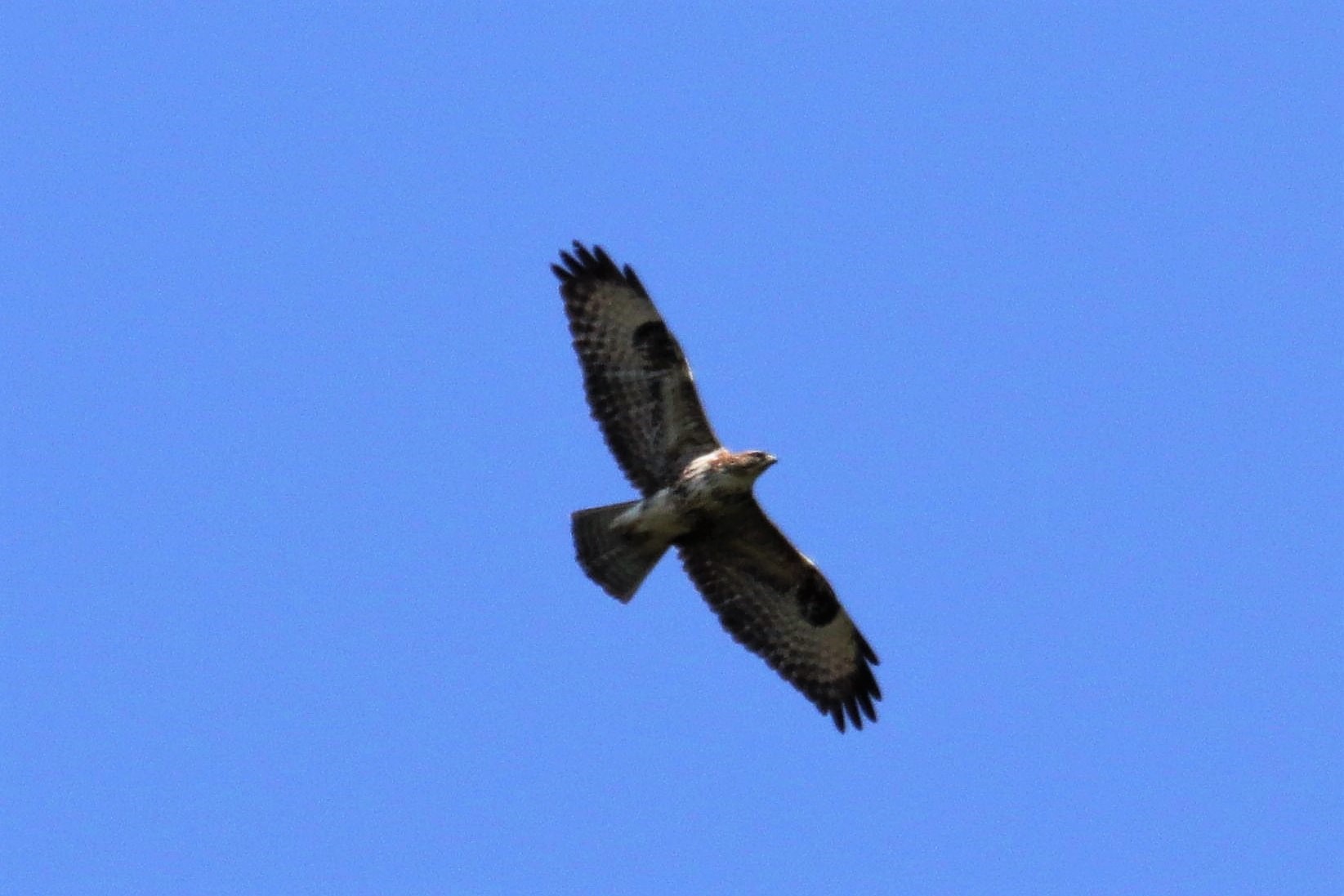 in flight