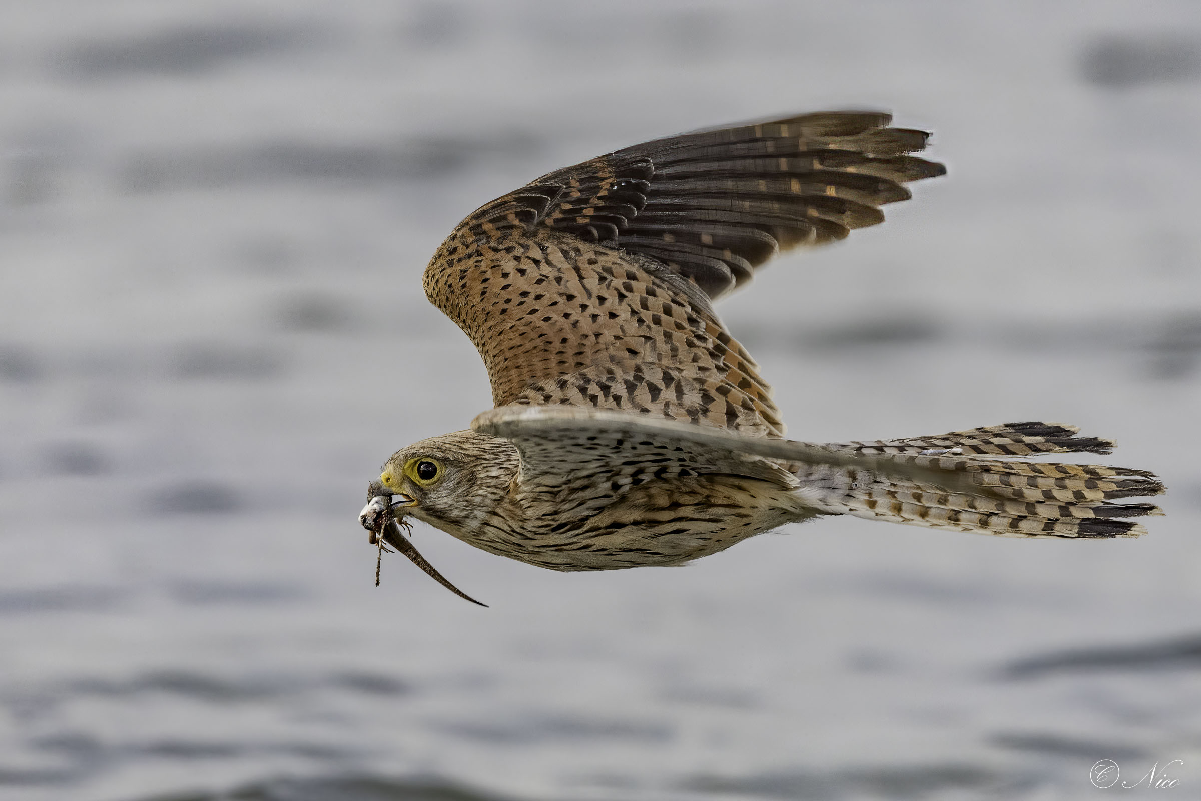 From my archive a revisitation