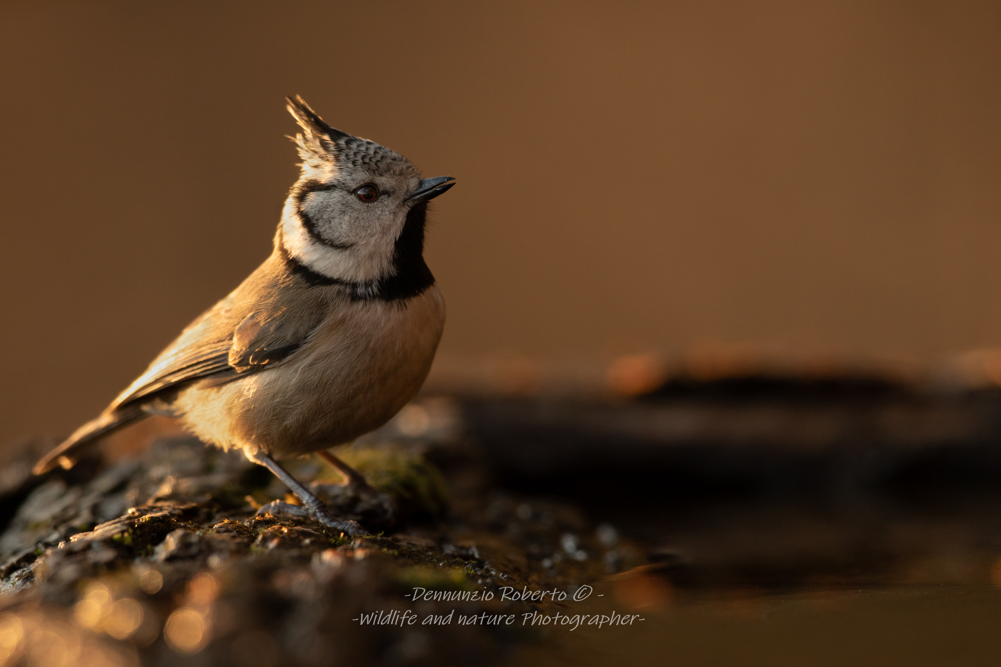 ultime luci sul Ciuffo...