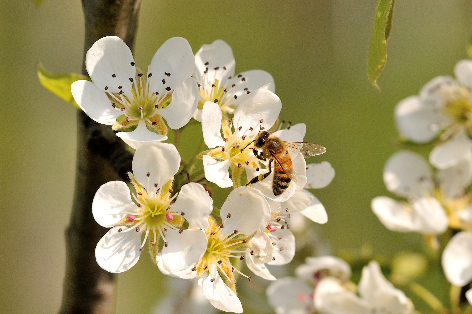 We're back... luckily