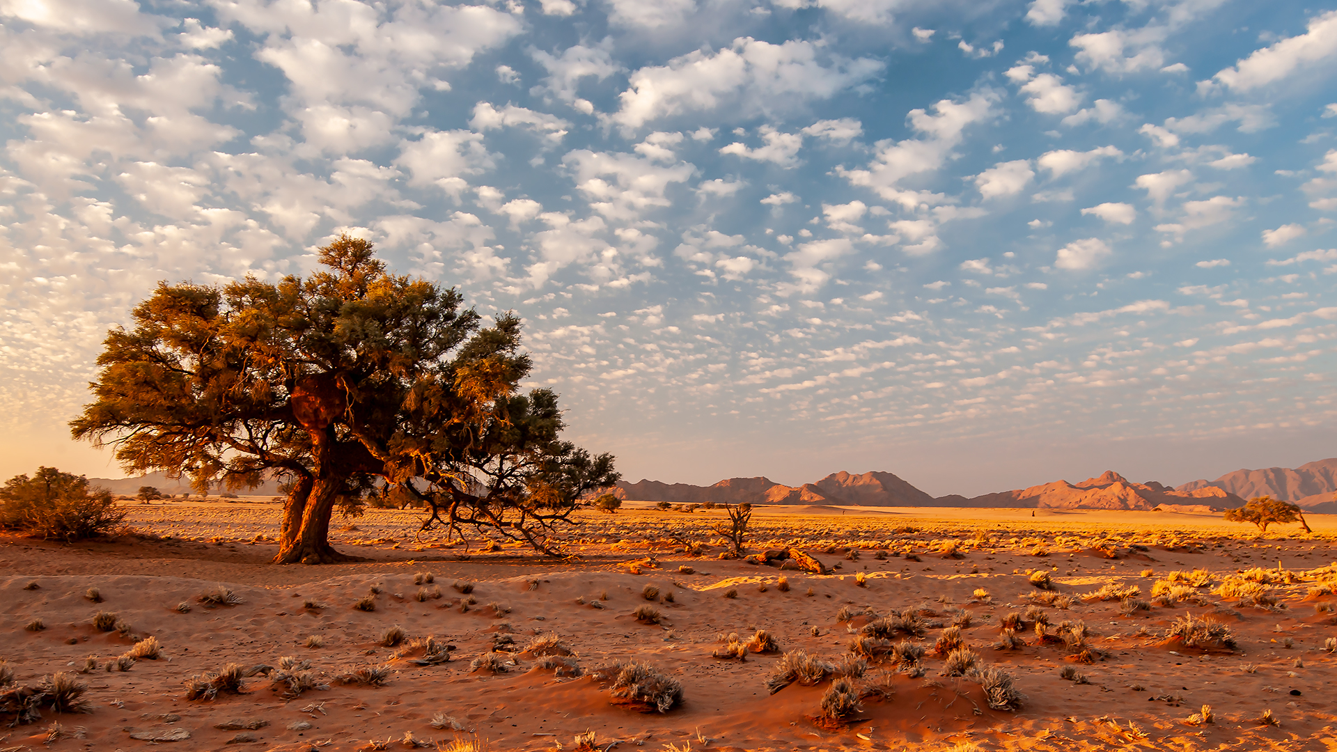 Namib Desert Sunset