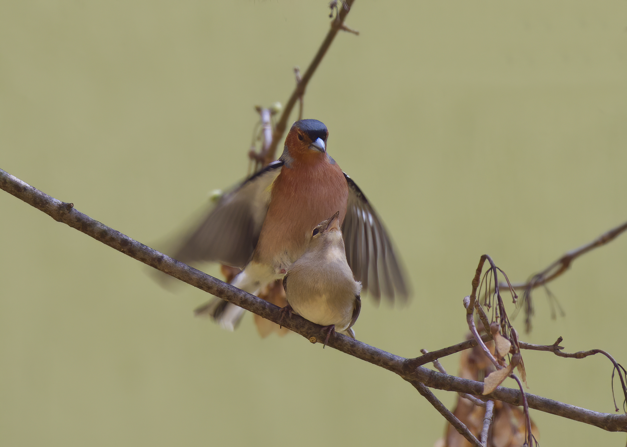 L'amore dalla finestra di casa mia