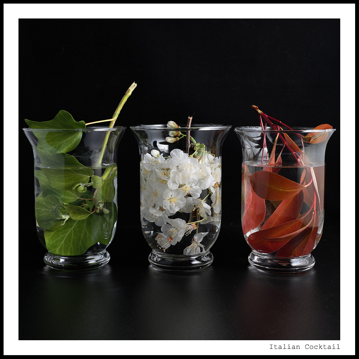 Italian Cocktail