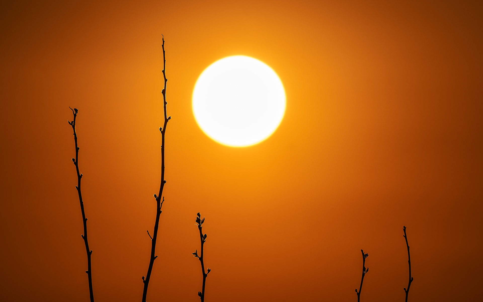 Tramonto minimalista dal balcone di casa