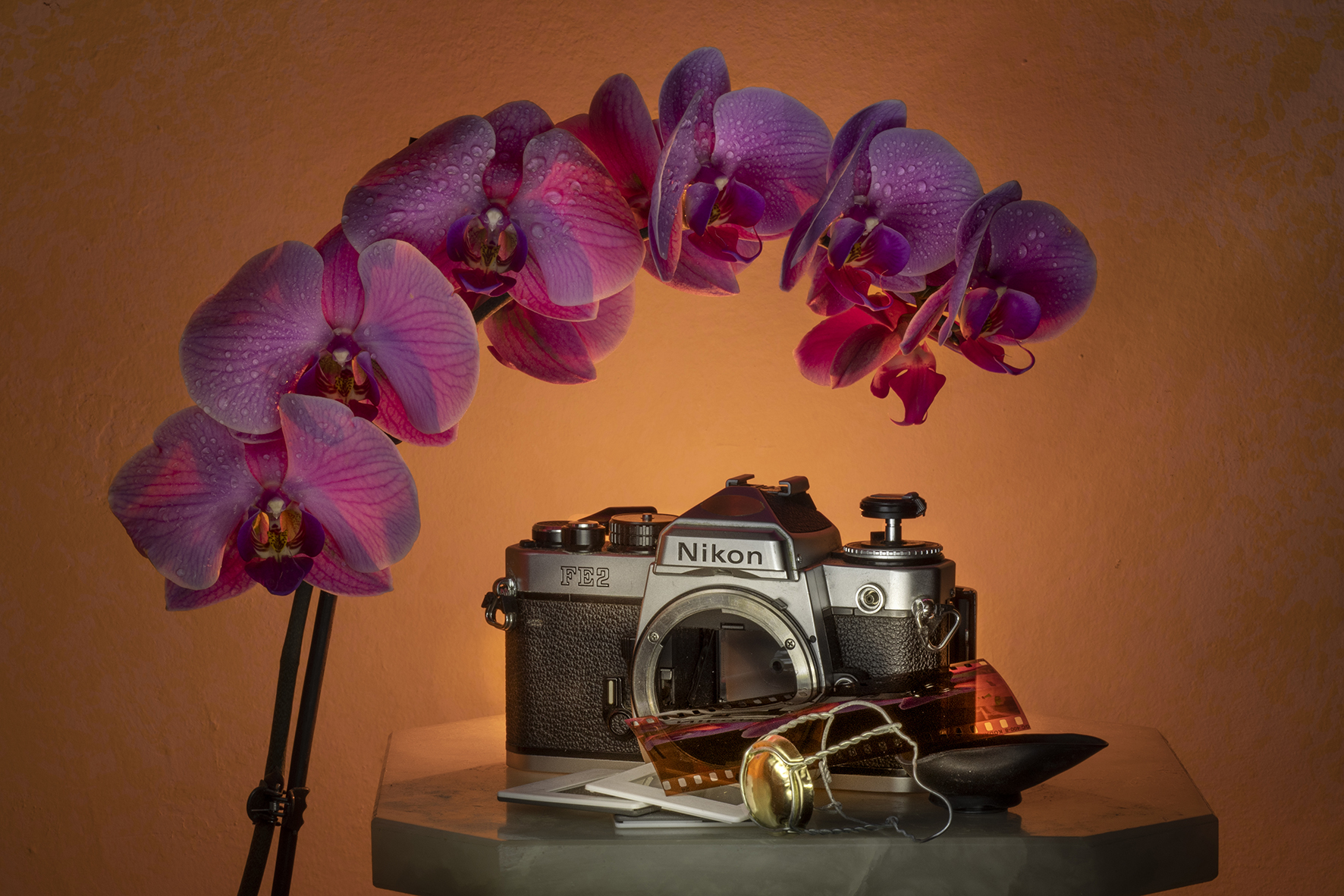 Amarcord.... it seems yesterday!