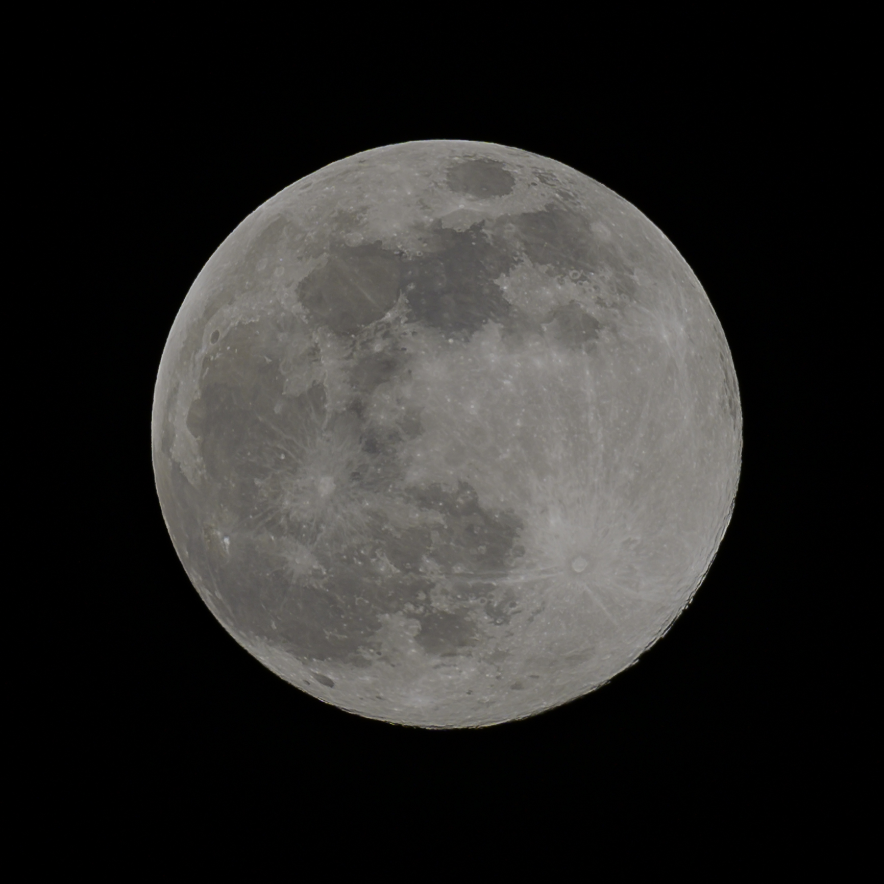 Nikon Z6 + Sigma 150-600 Sport