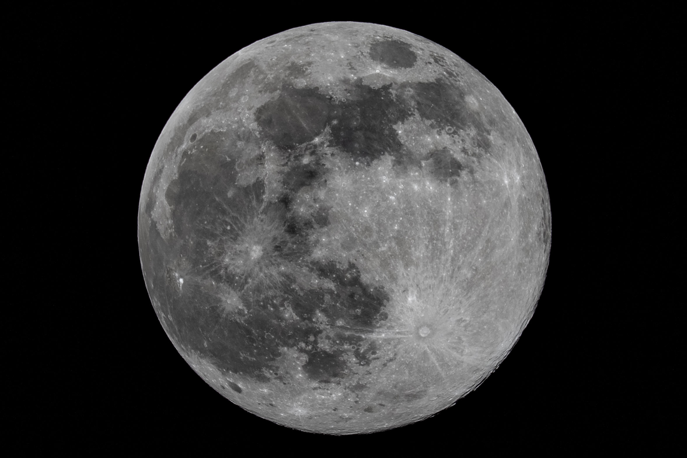 Luna dalla quarantena a Palermo