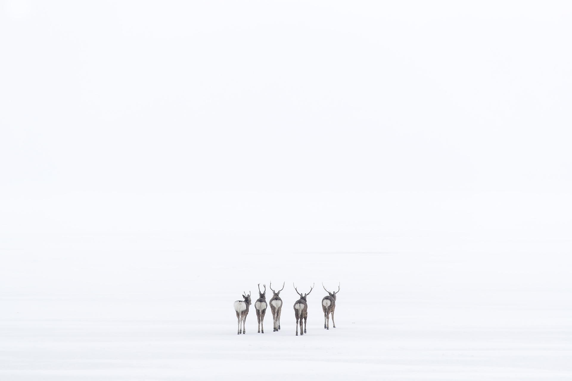 Verso un futuro ignoto