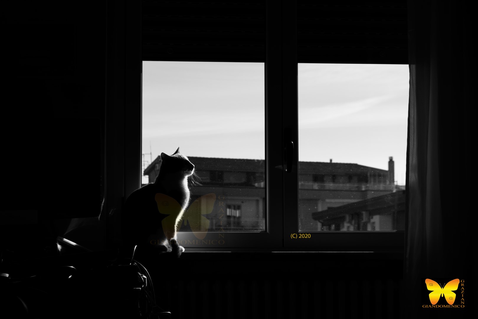 il calore del mattino...