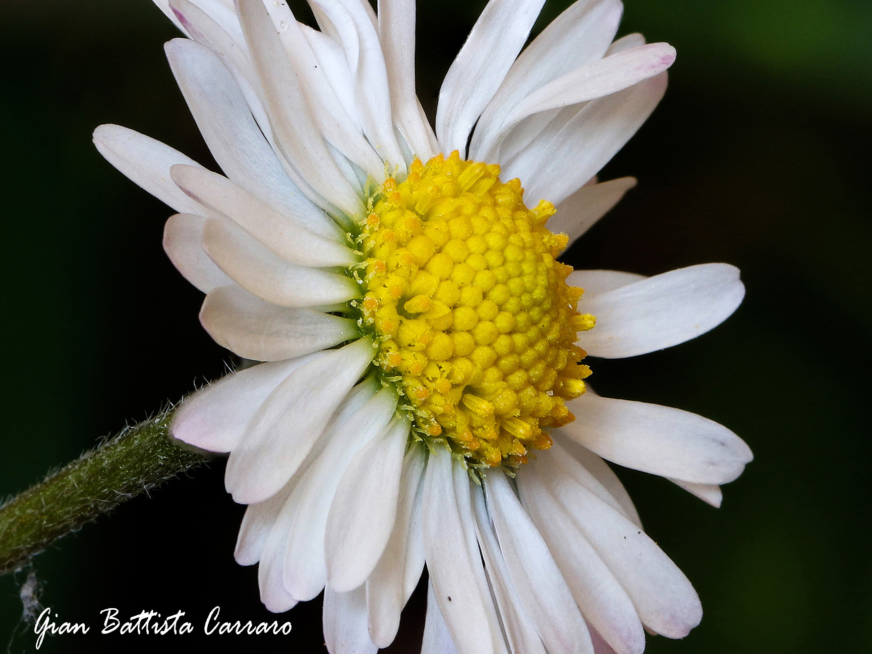 .. Spring has come...