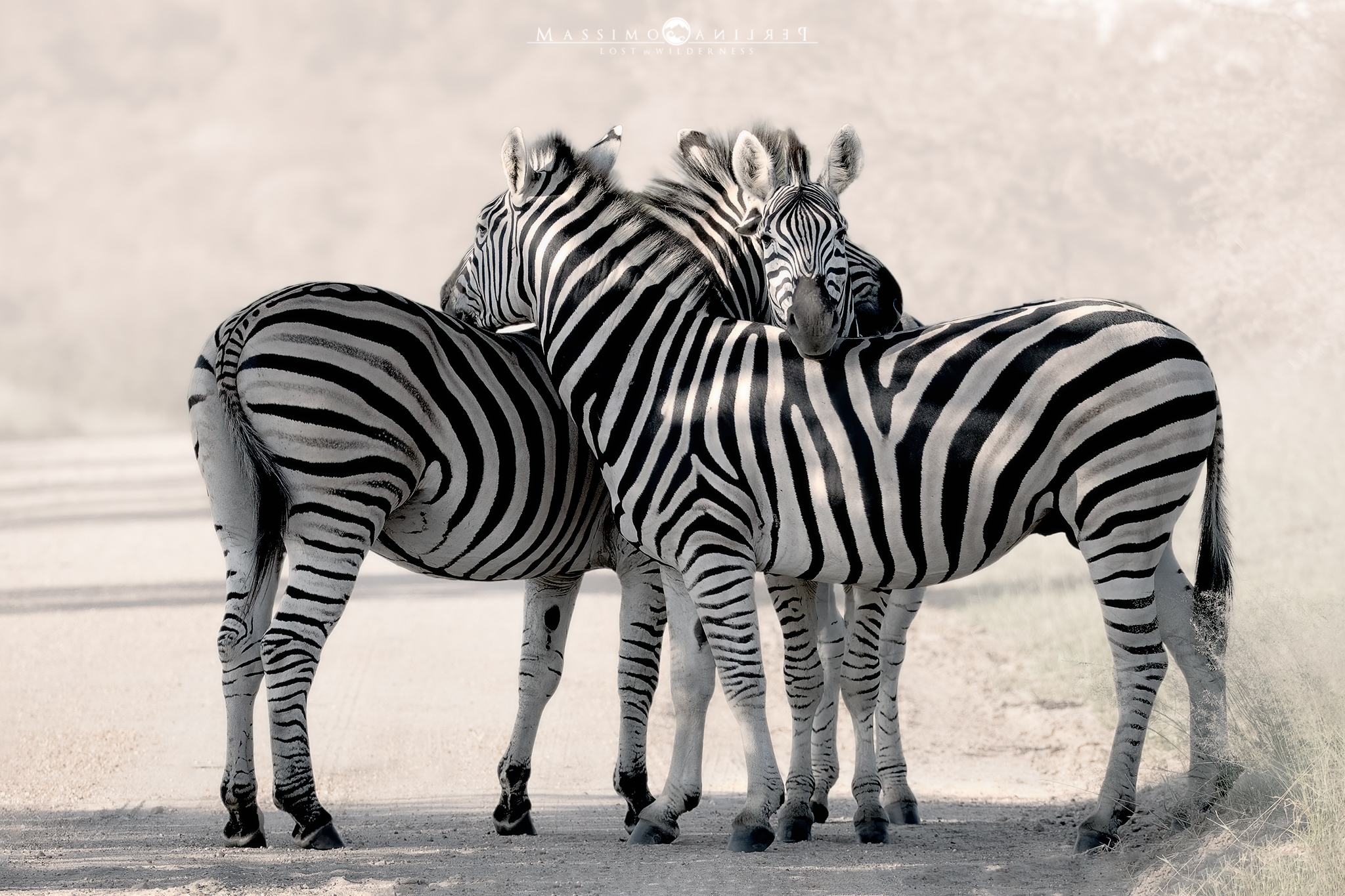 High Contrast, New1001