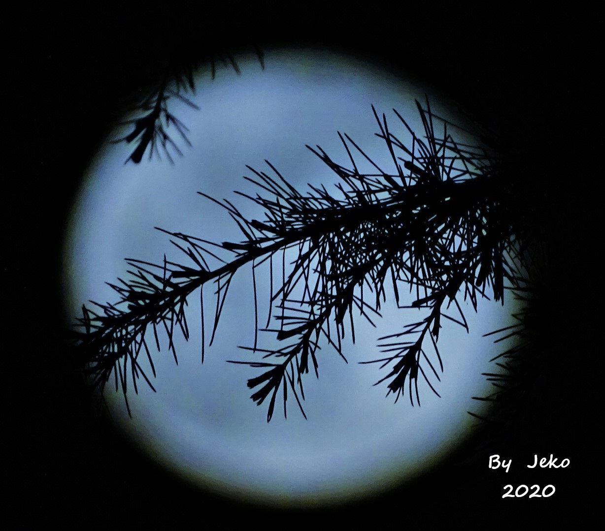superluna in quarantena 04-2020