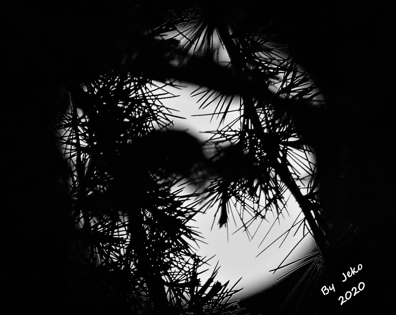 luna favolosa 08-04-2020