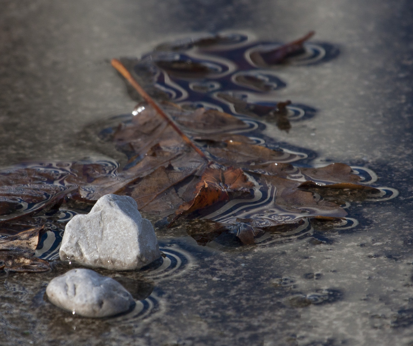 Reflections - Sistiana sea