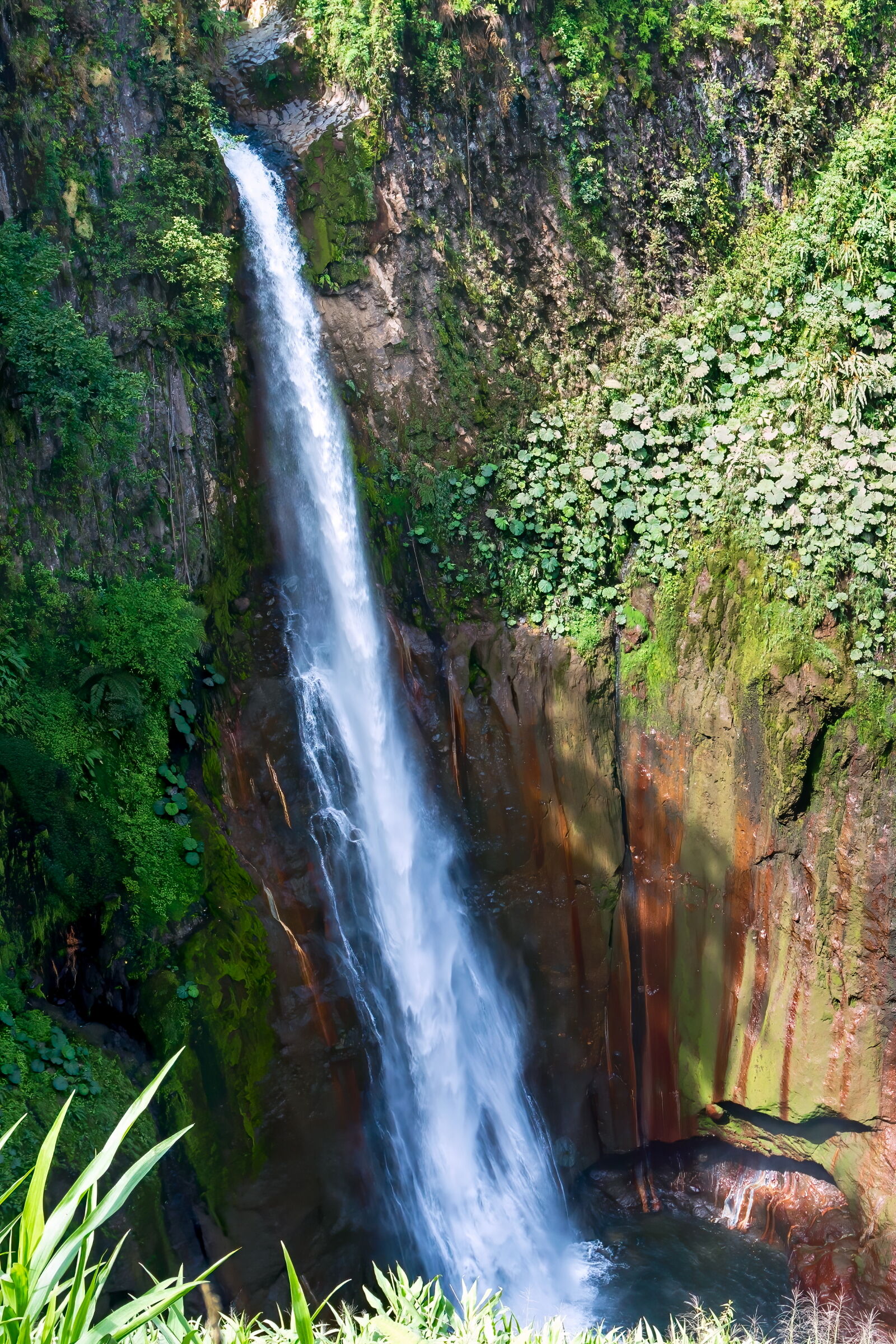 Catarata del Toro-Costa Rica