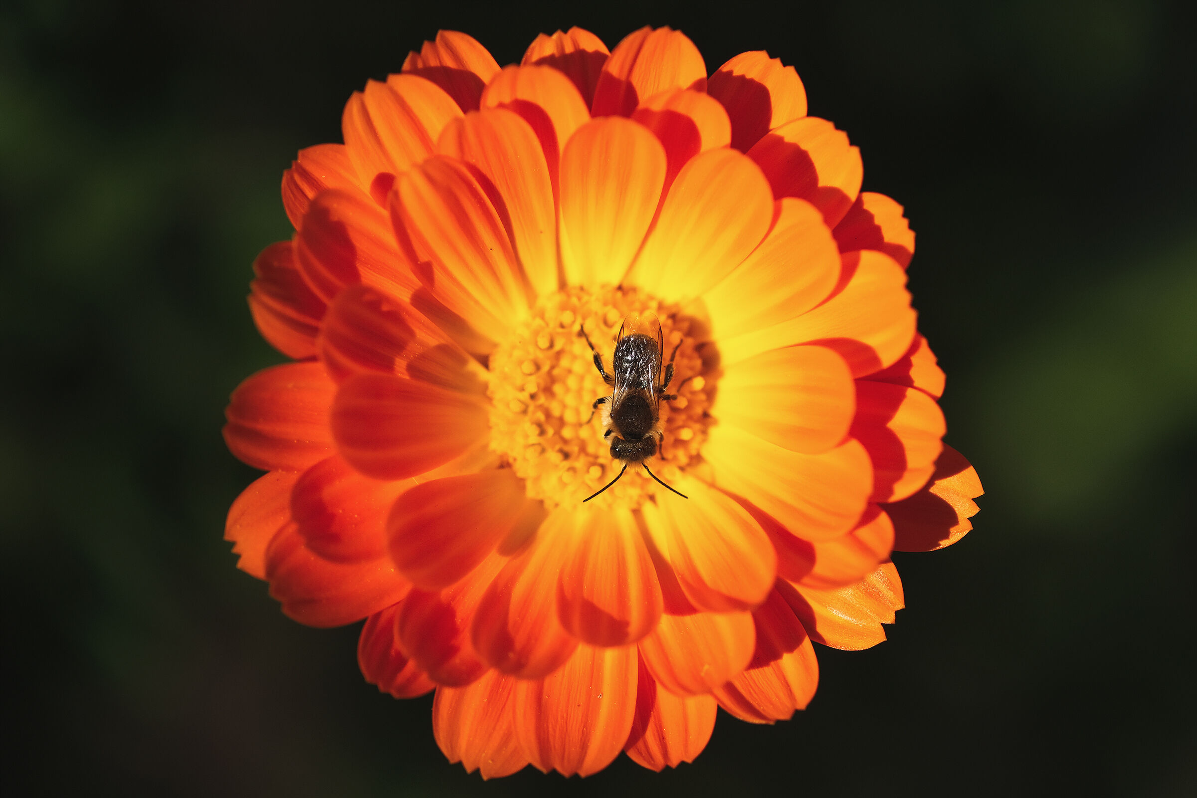 Prime prove con il 60 2.4 fuji