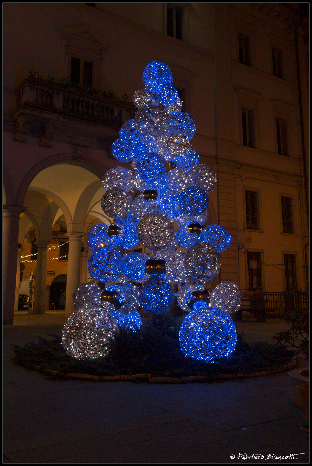 The tree on the square