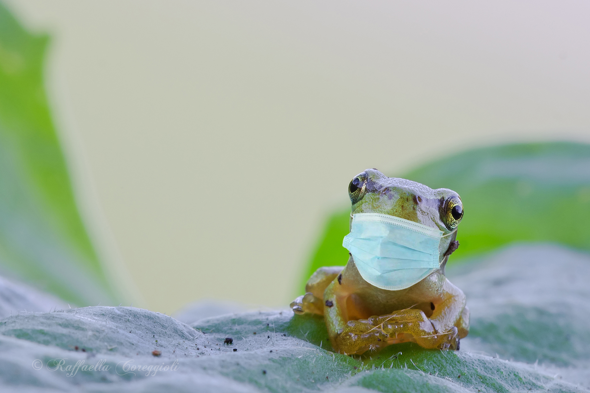 I'm ready and you...?