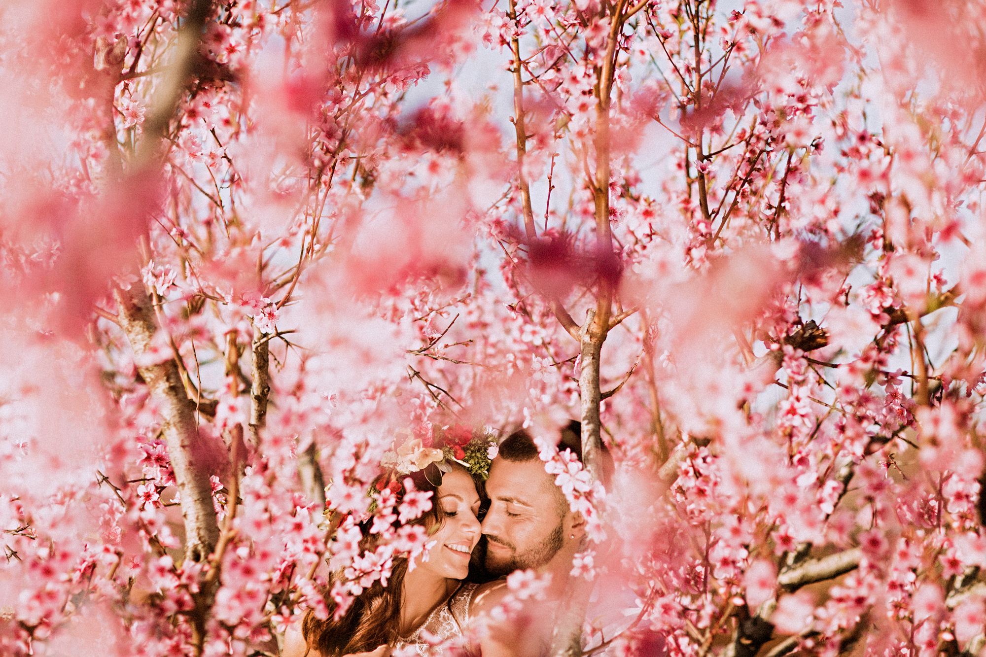Due rondini fanno primavera