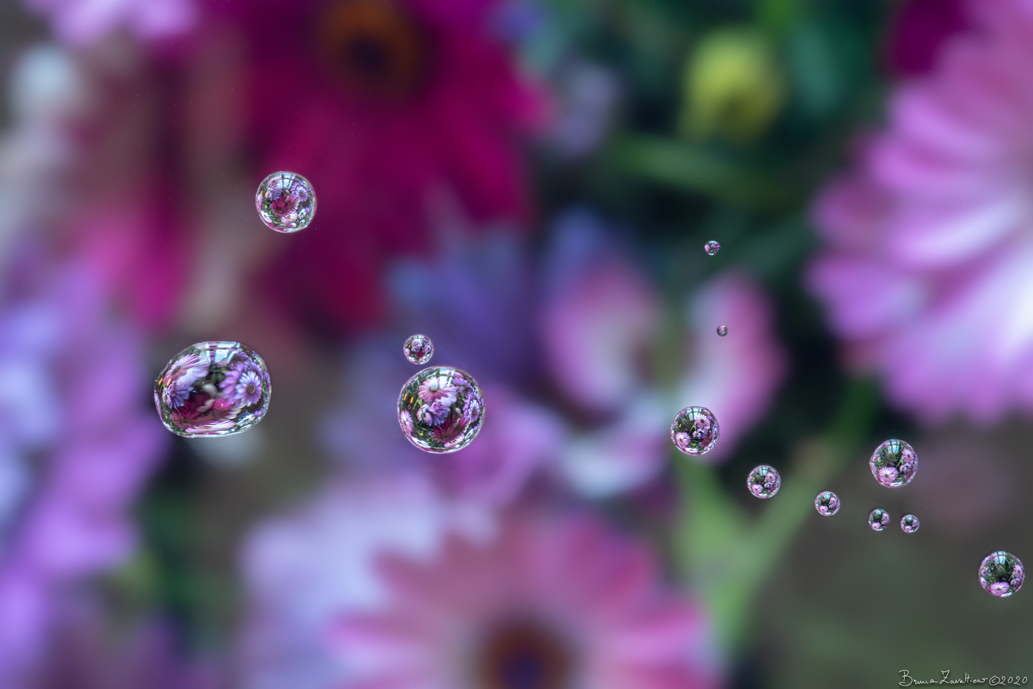 flowering drops