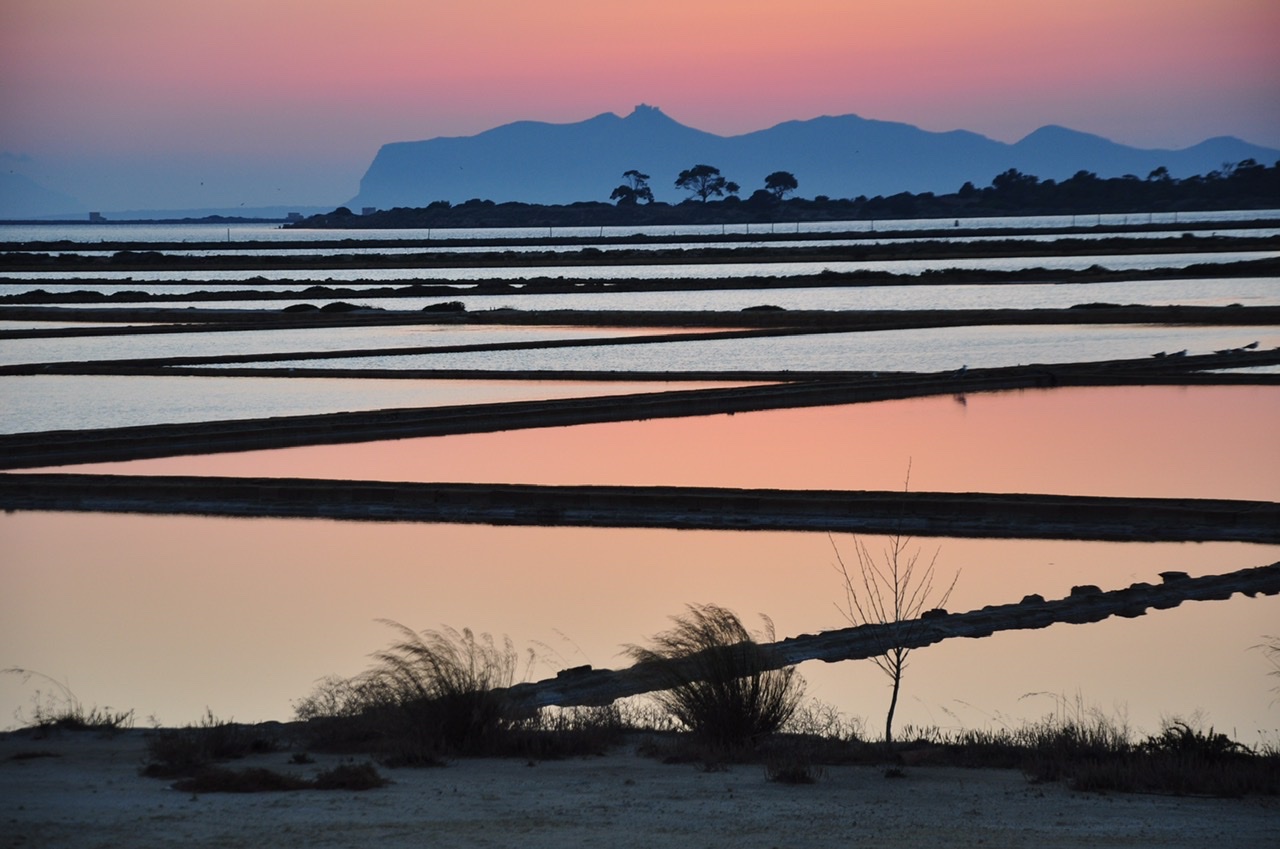 Trapani saline