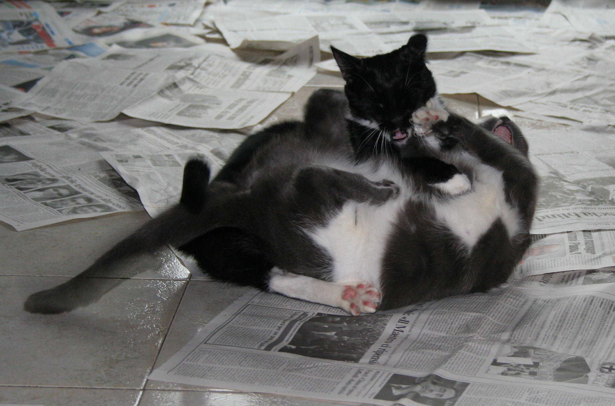 how nice to fight. per game