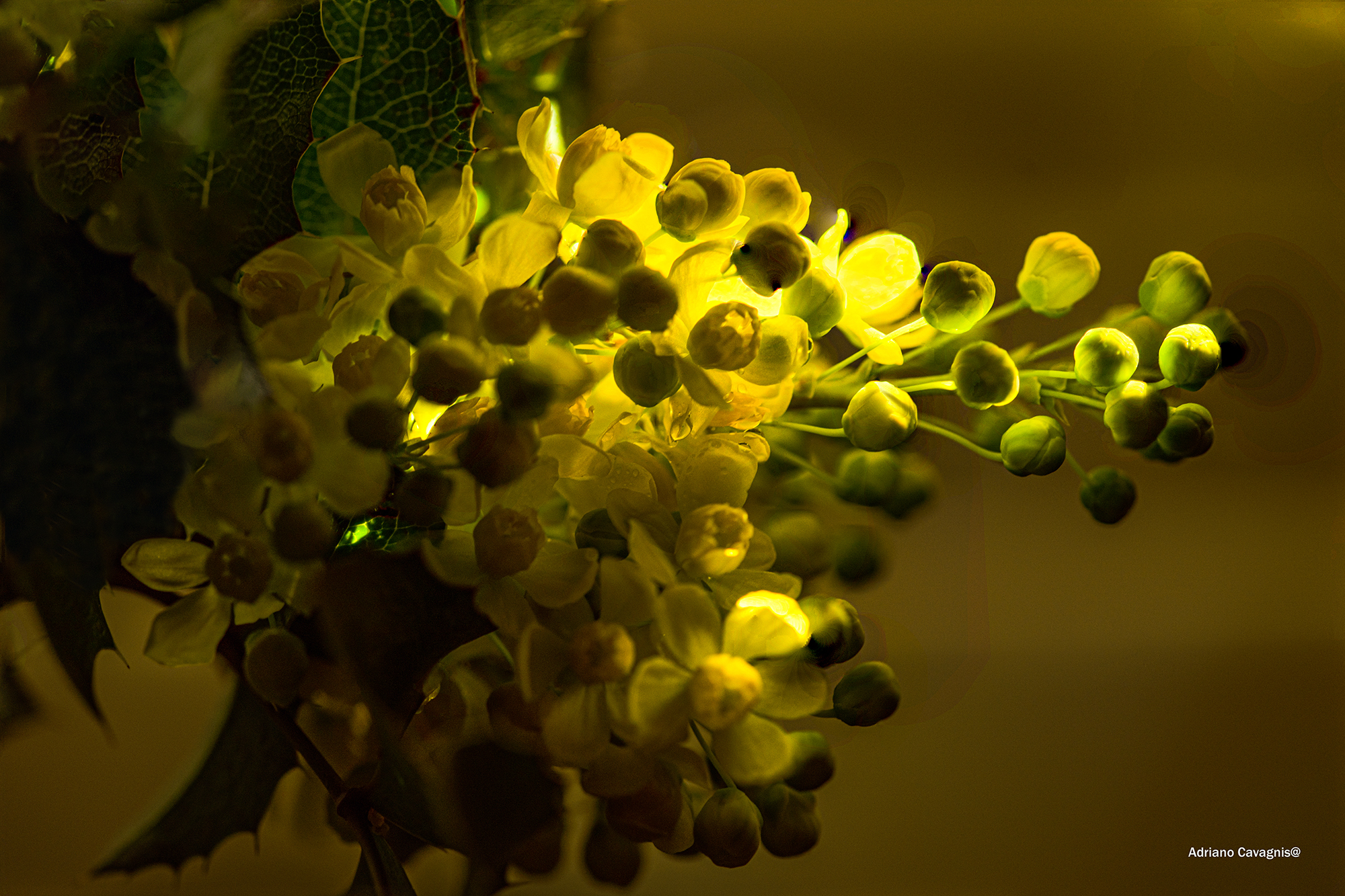 Light games