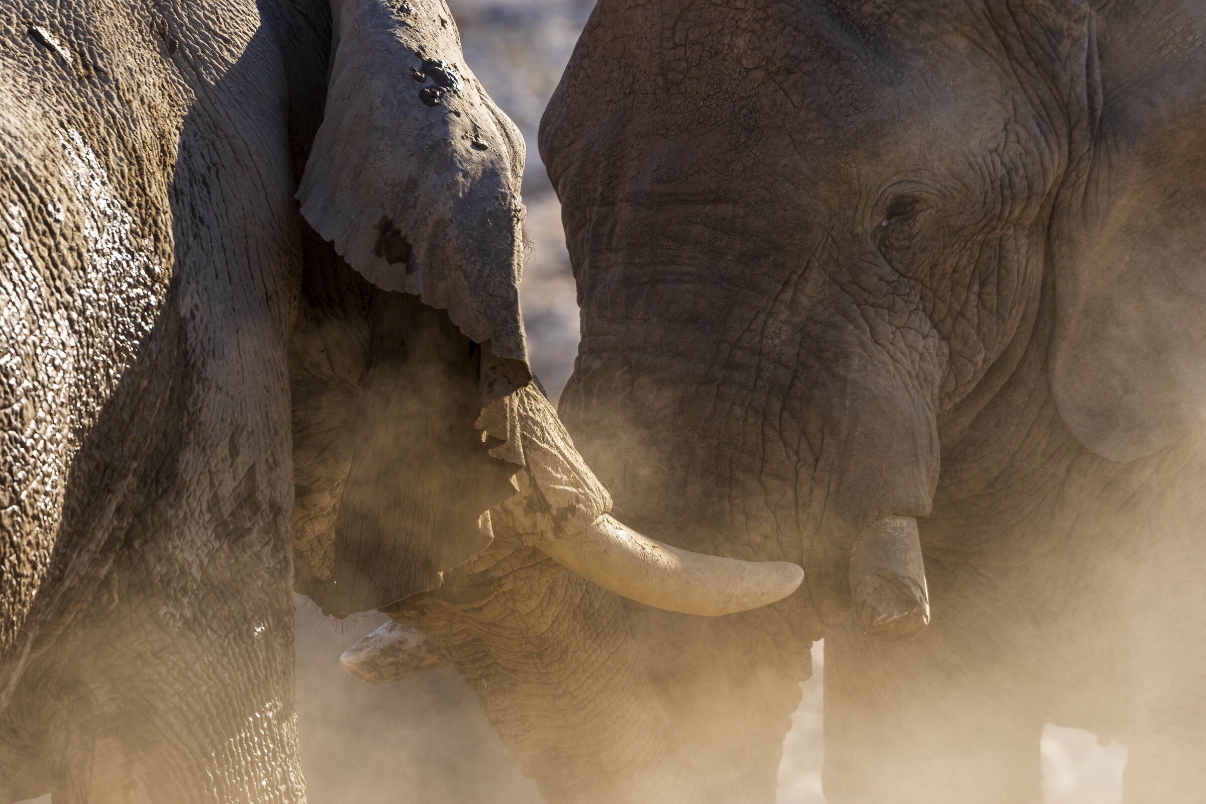 incontri ravvicinati