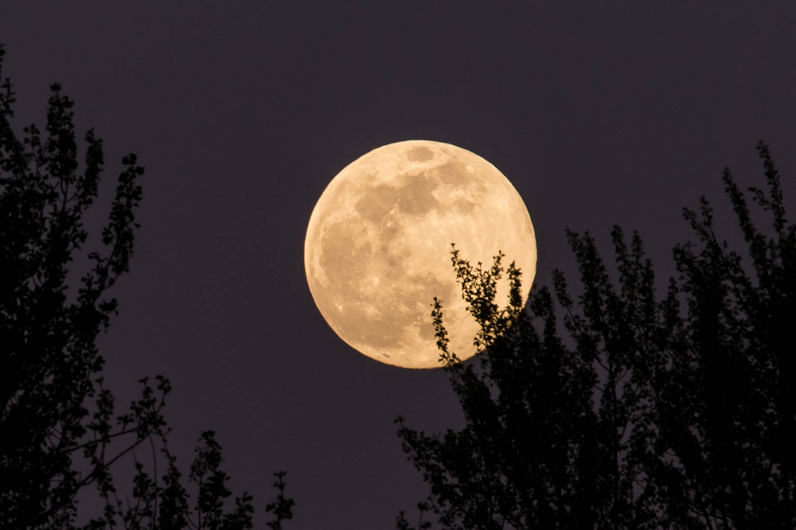 Waiting for better times