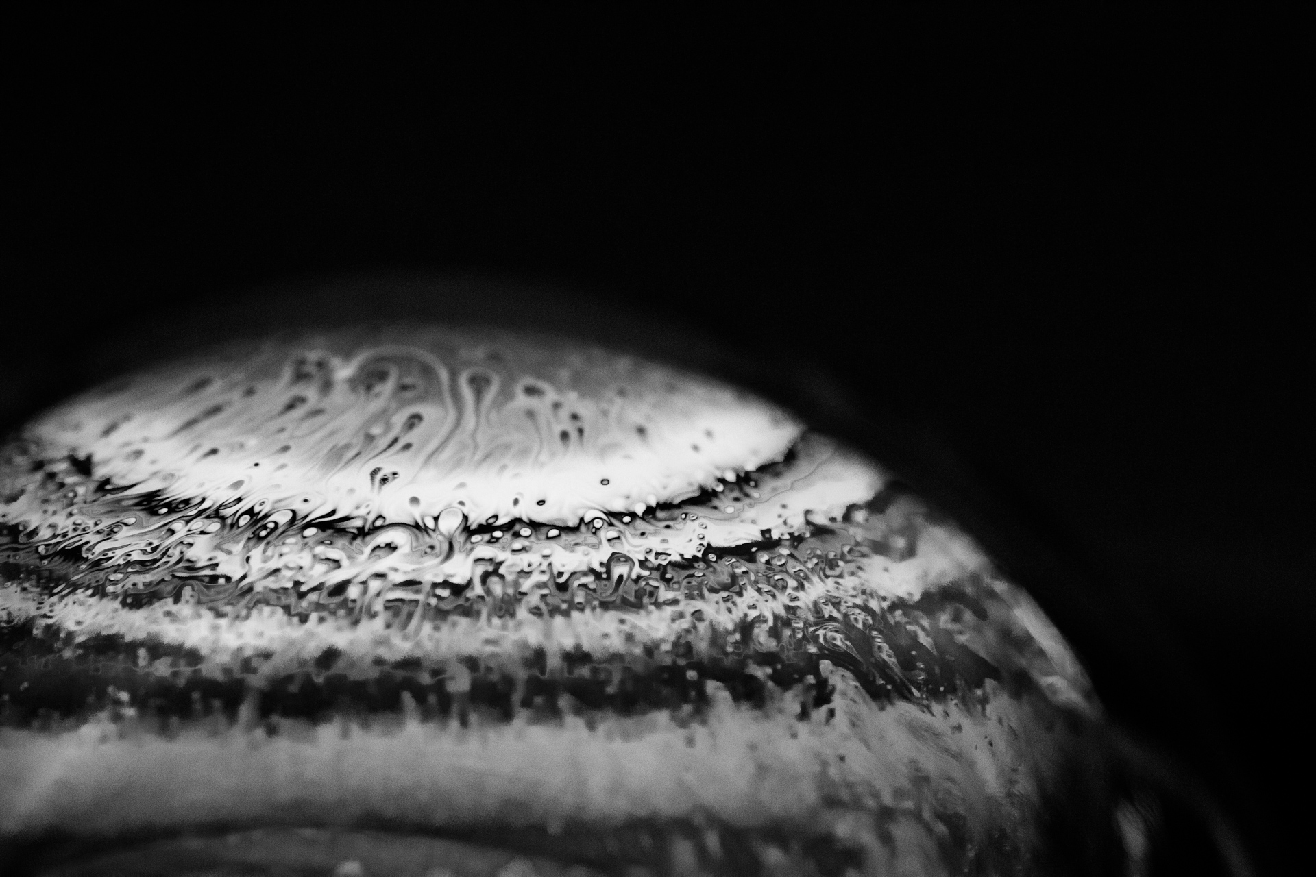 L'alba di un nuovo giorno 2