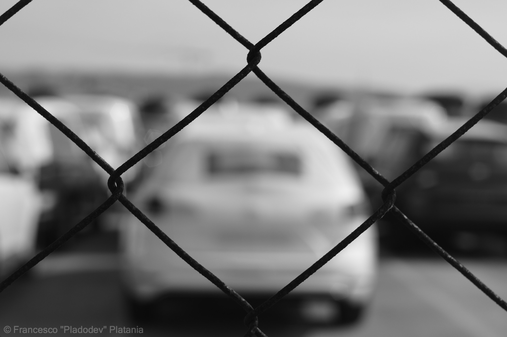 Waiting for an owner