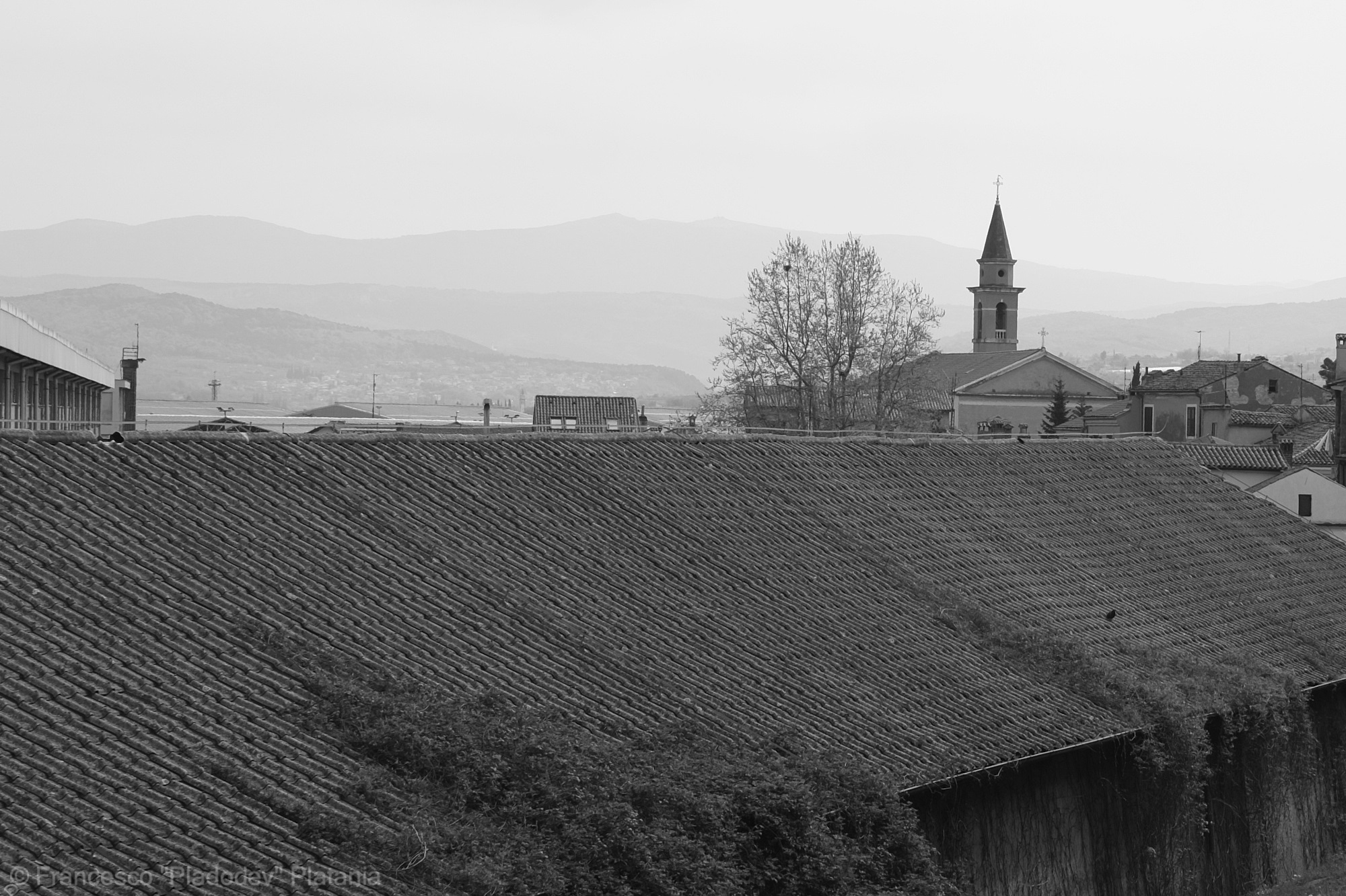 Koper
