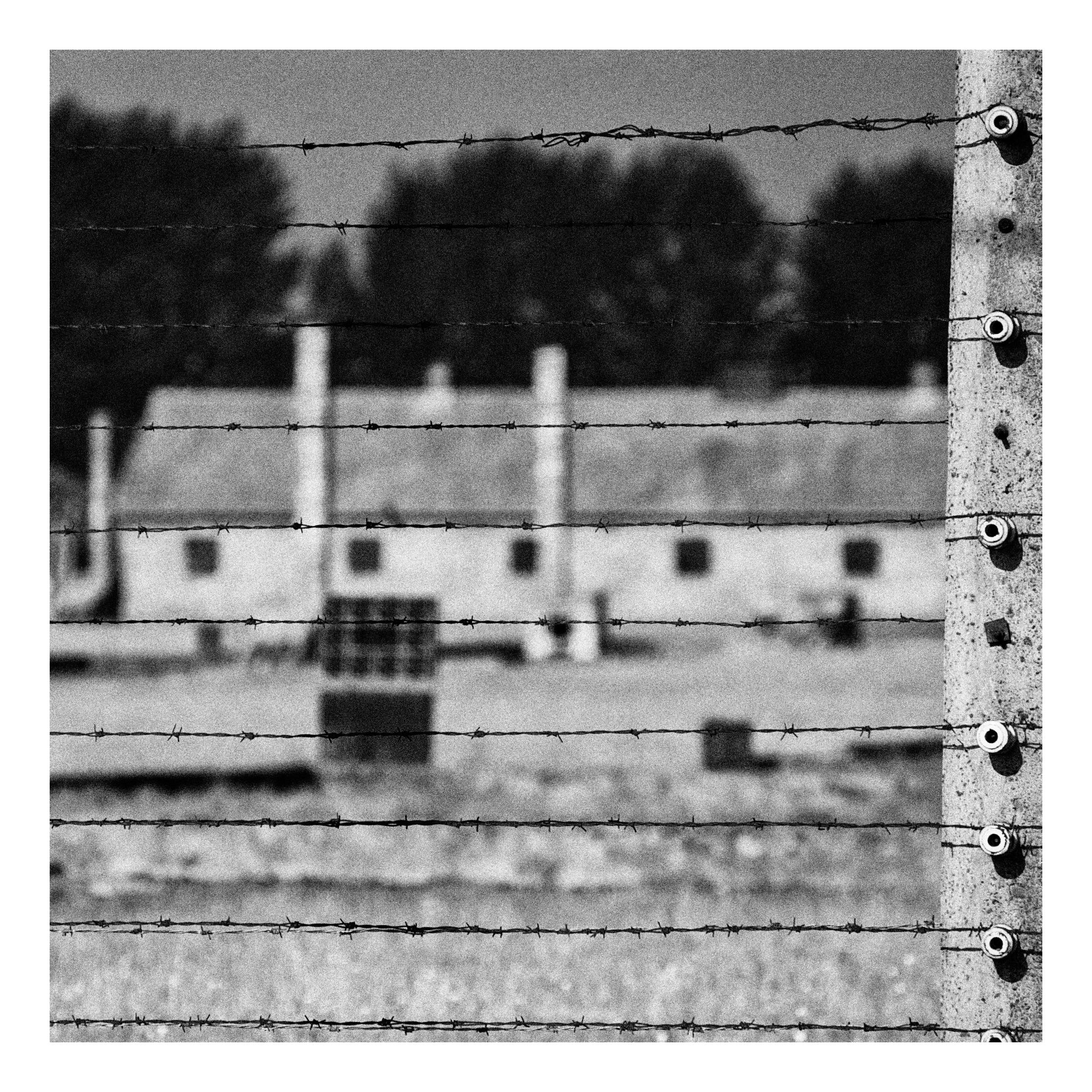 Birkenau