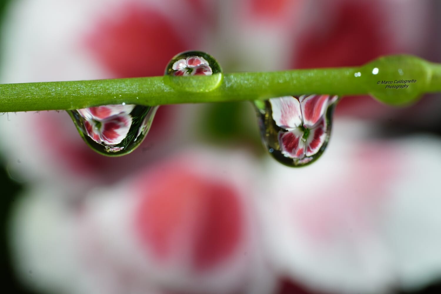 Più ci saranno gocce d'acqua pulita, più i...