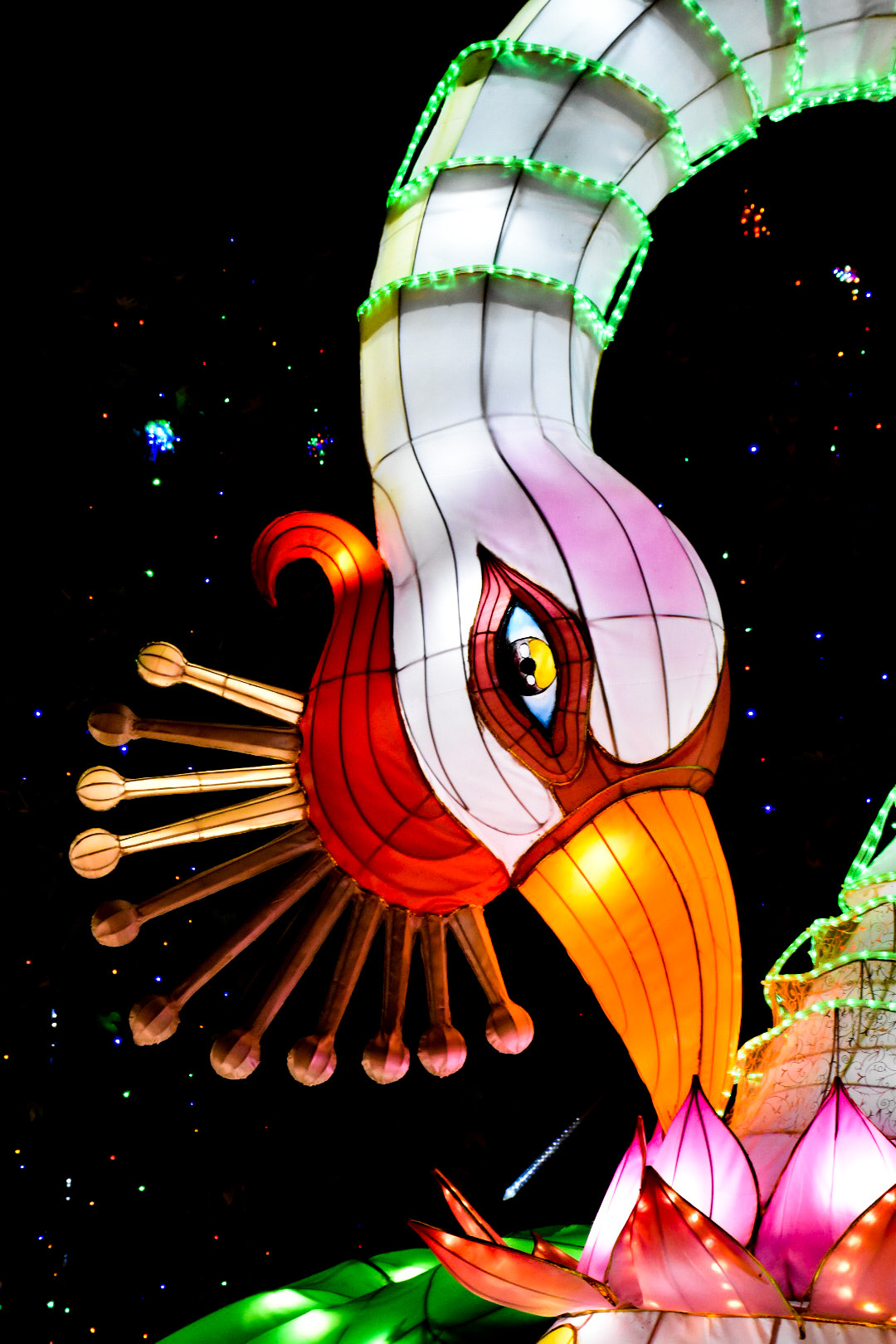 Festival delle lanterne